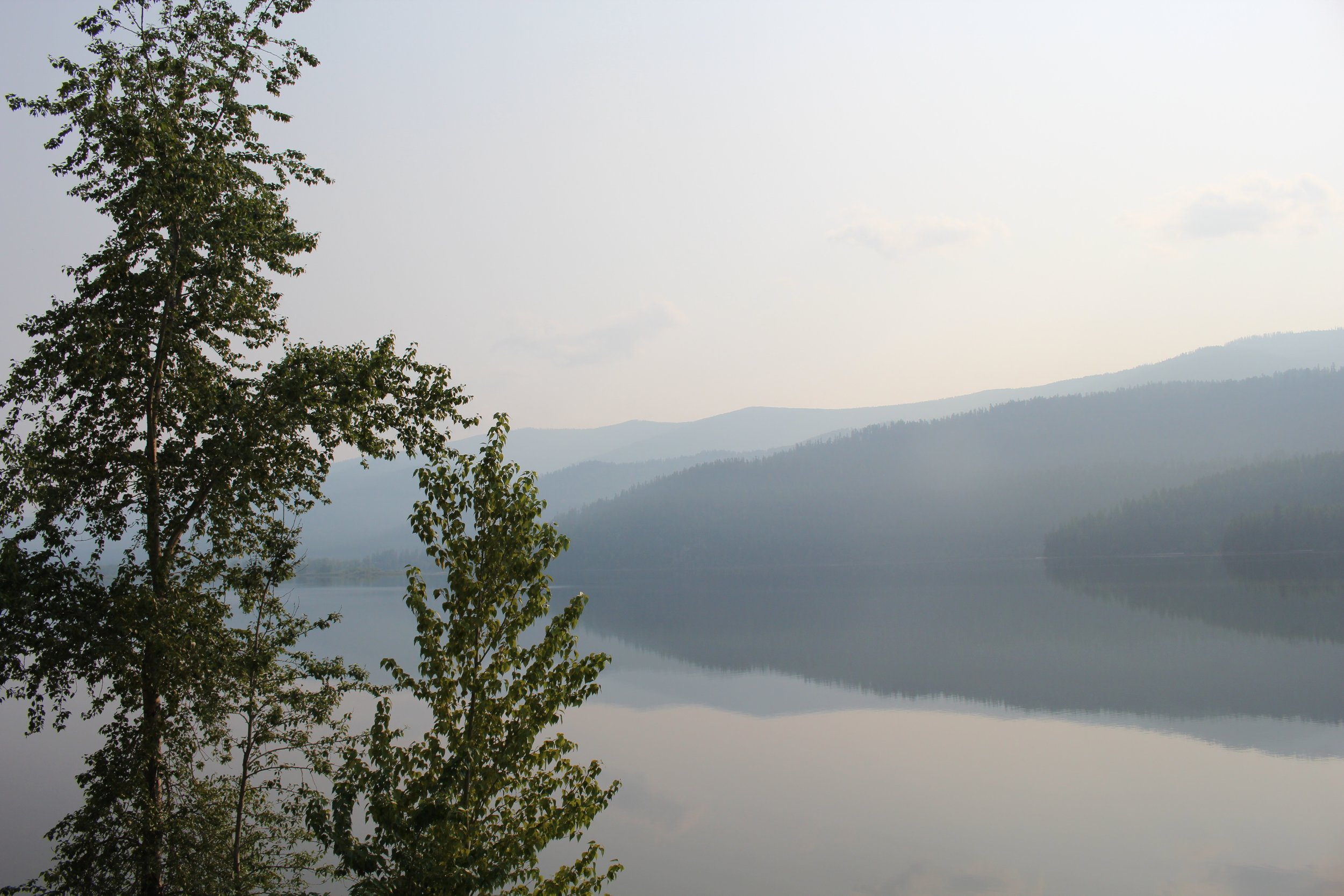 Montana