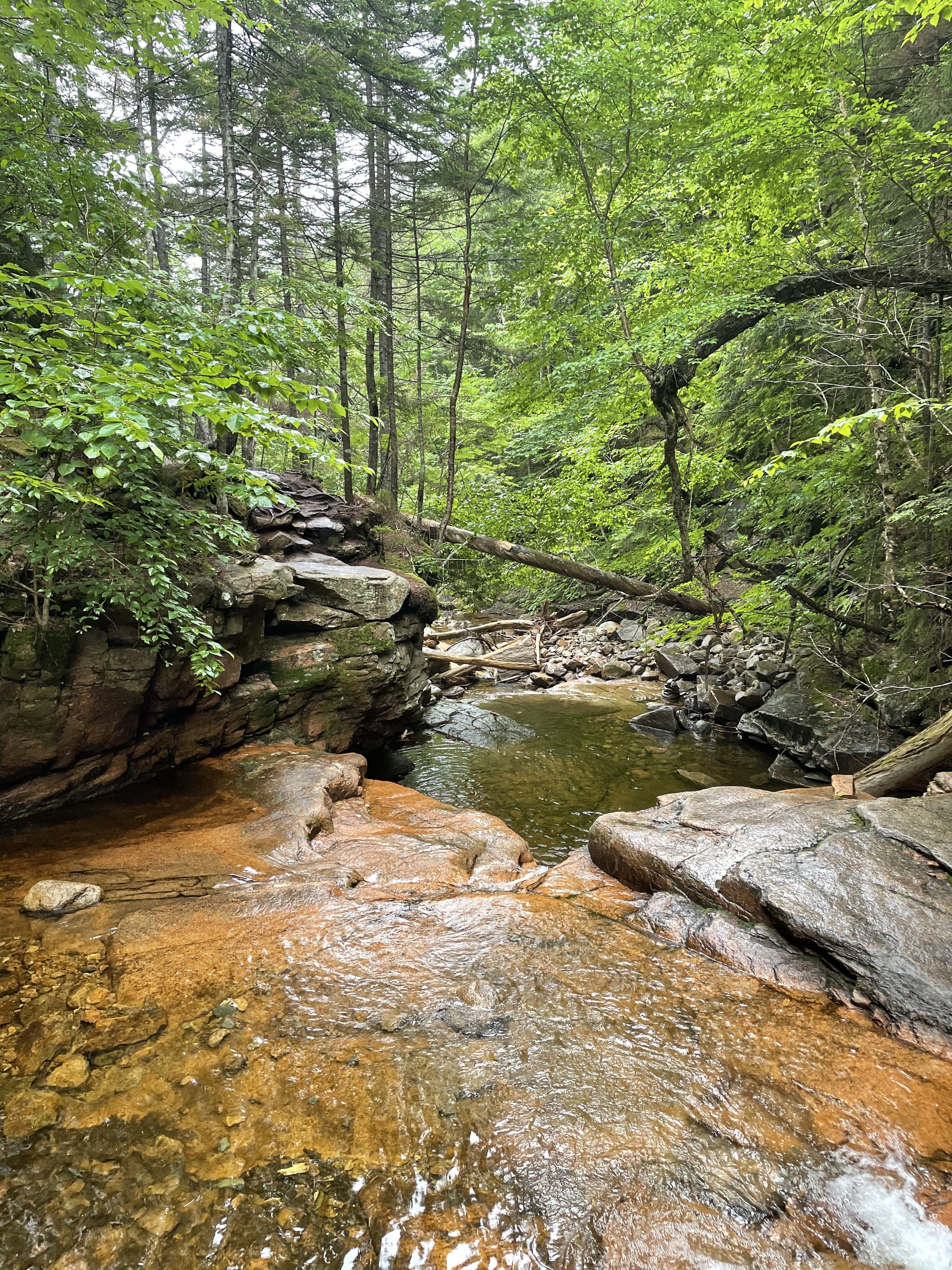 New Hampshire