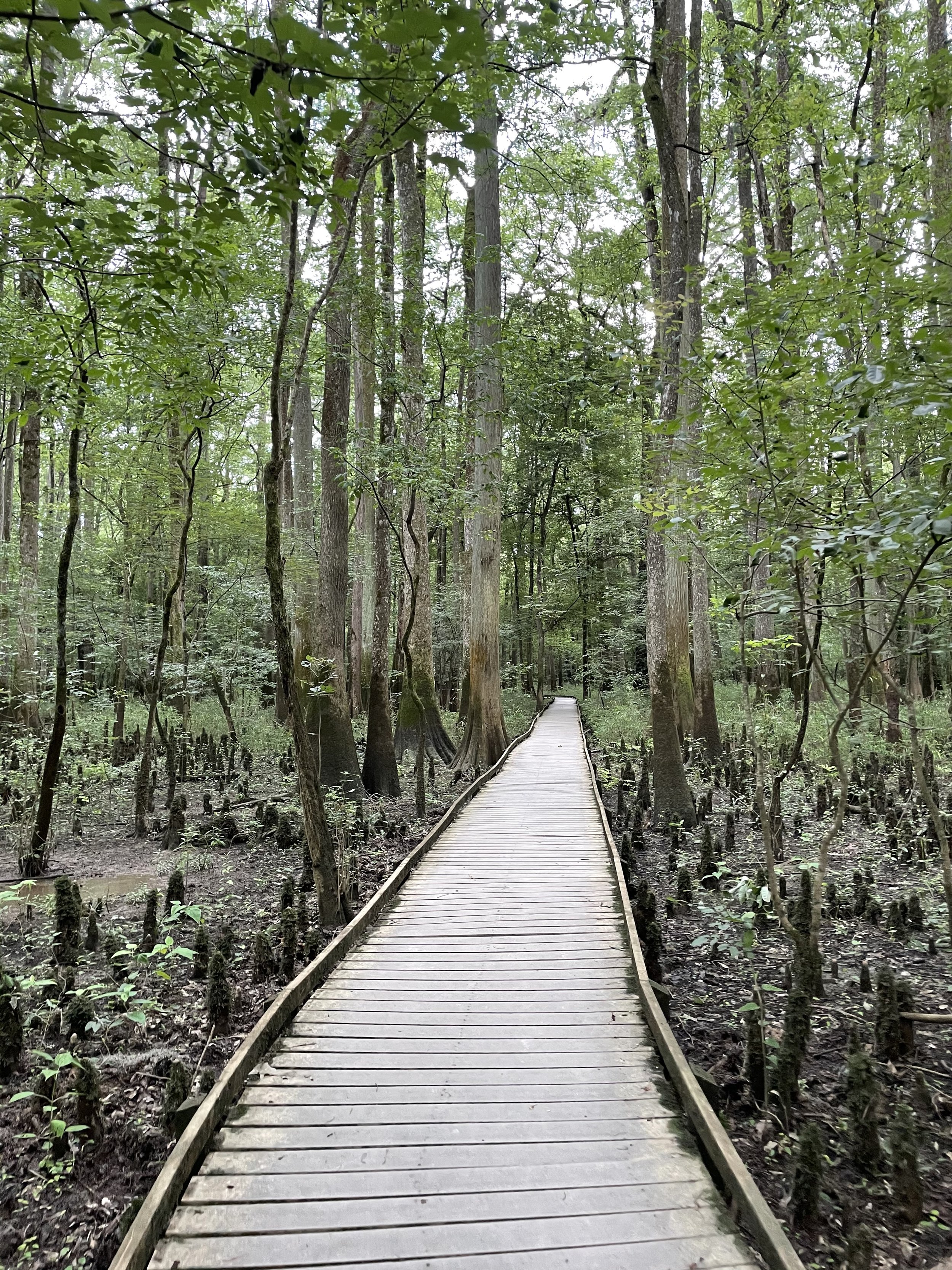 South Carolina