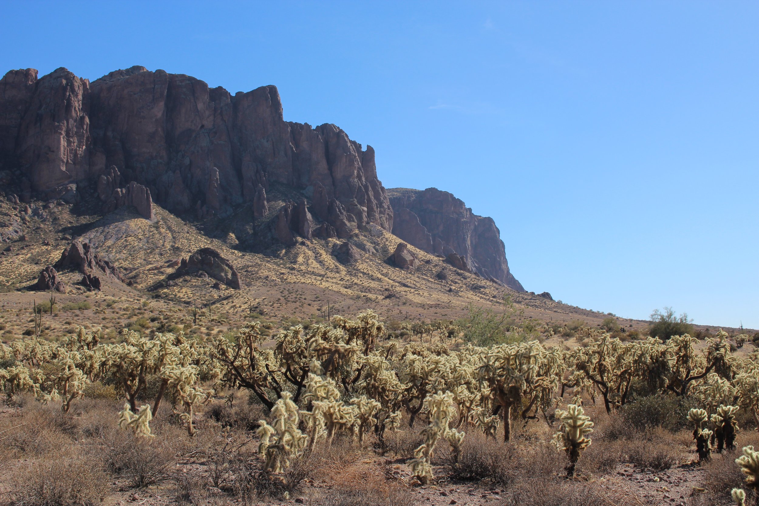 Arizona