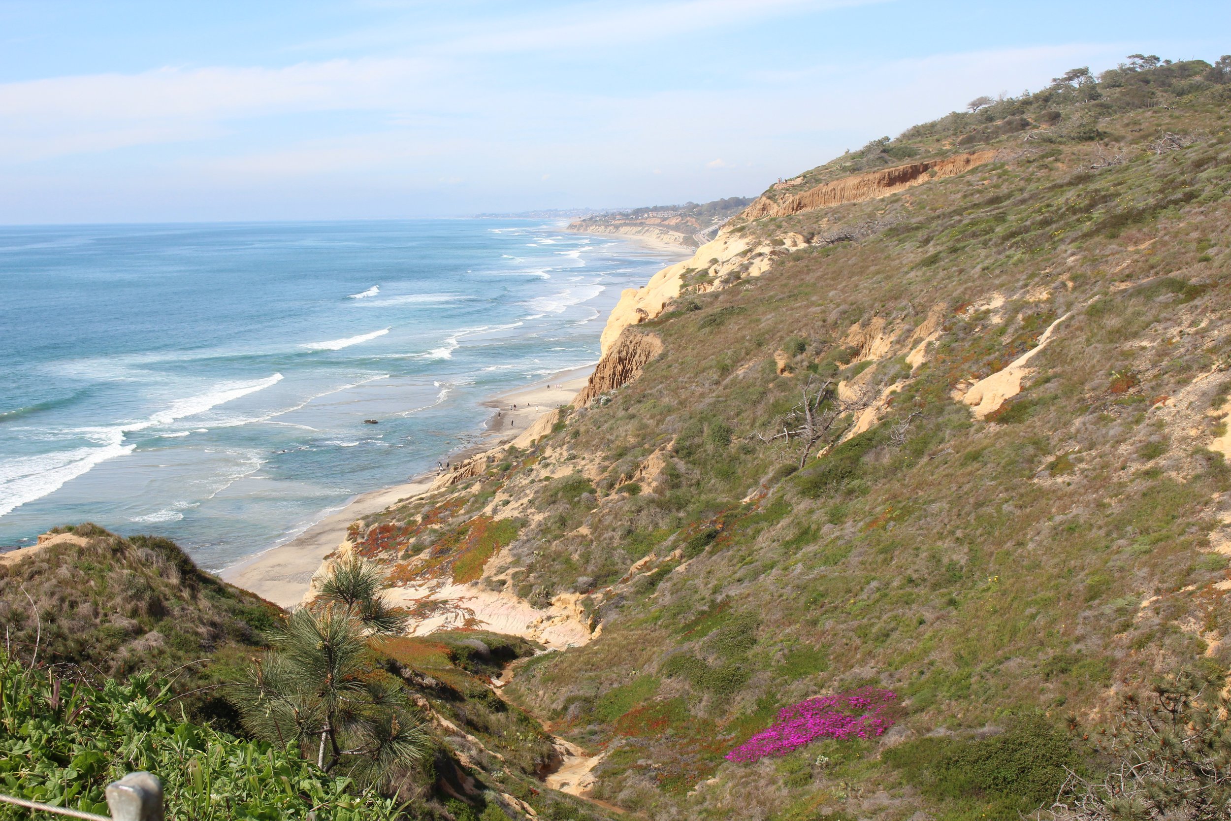 Torrey Pines State Natural Reserve