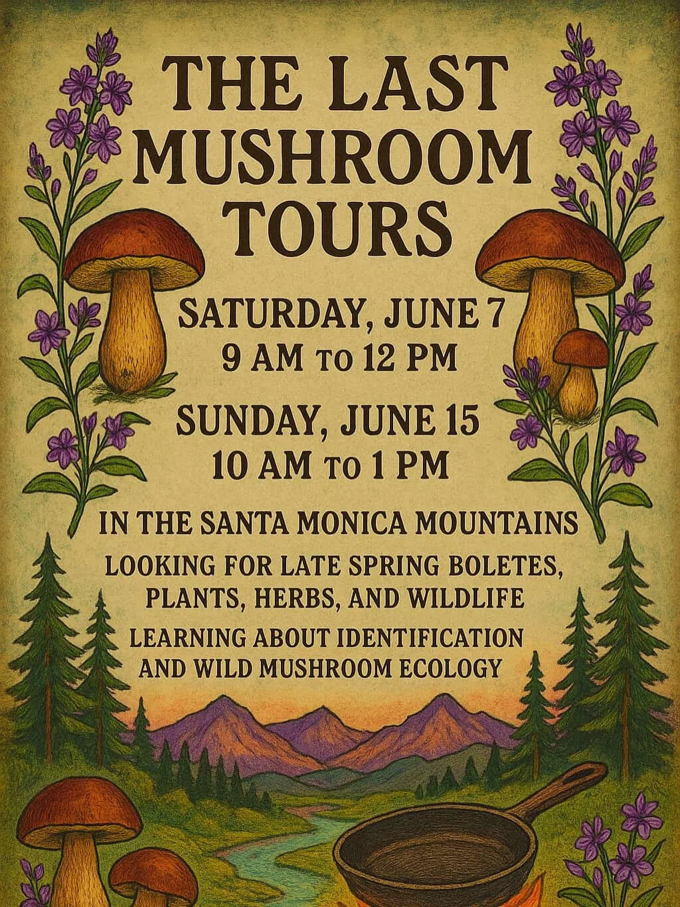 The Last Mushroom Tours – June 15th, 2025