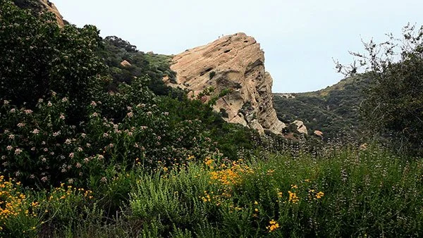 EagleRockWide.jpg