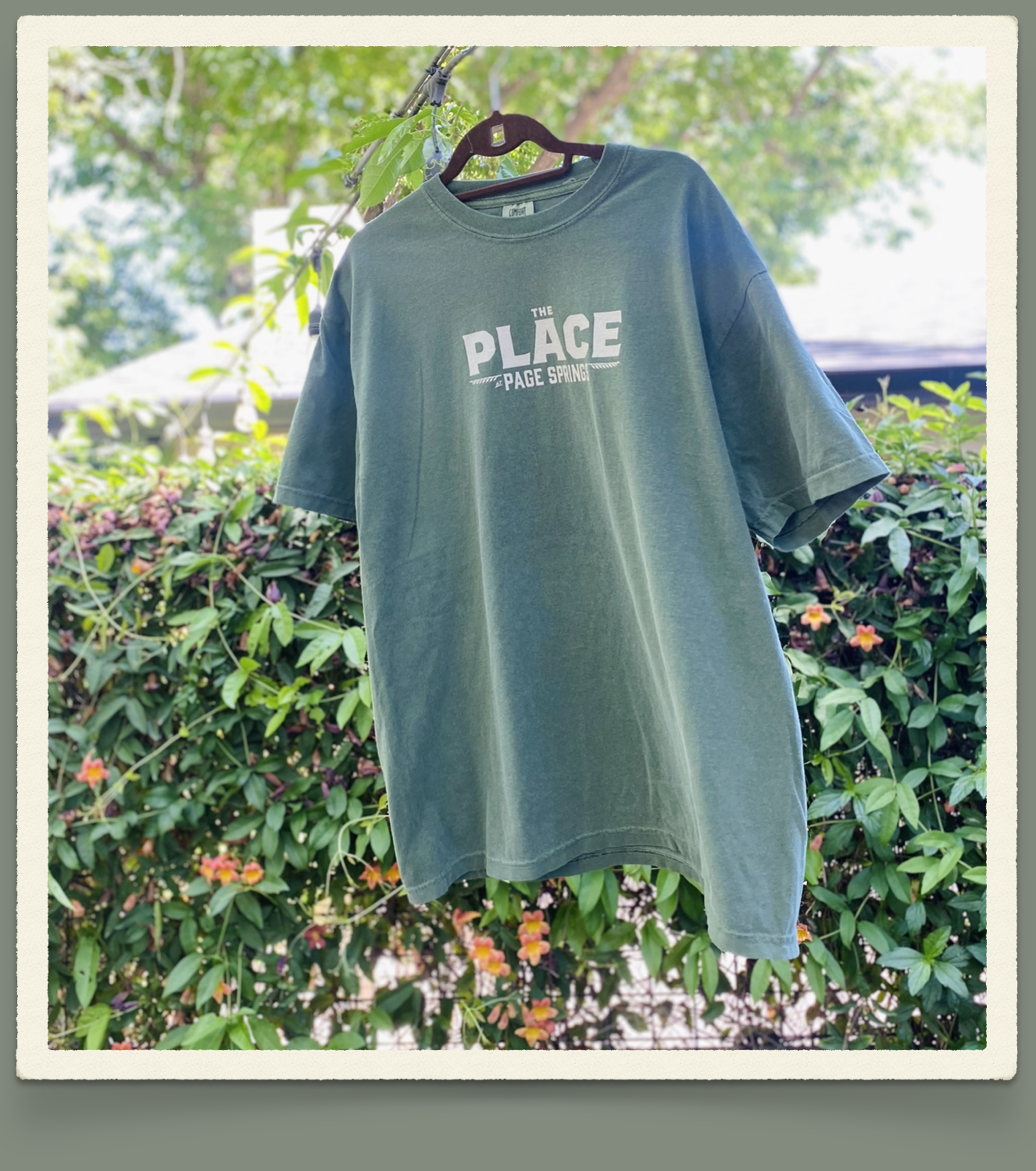 Screenshot 2024-08-02 at 10.13.23 AM.png