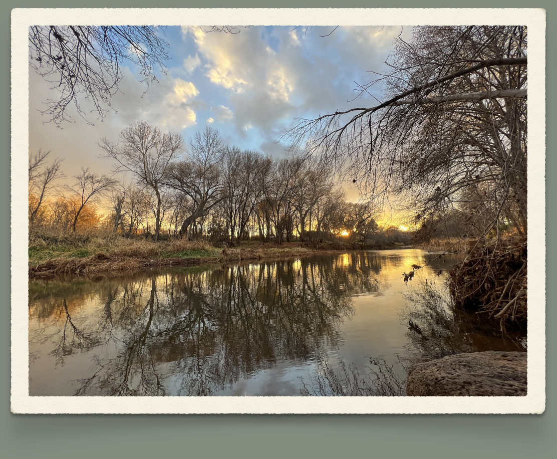 Screenshot 2024-08-01 at 12.57.48 PM.png