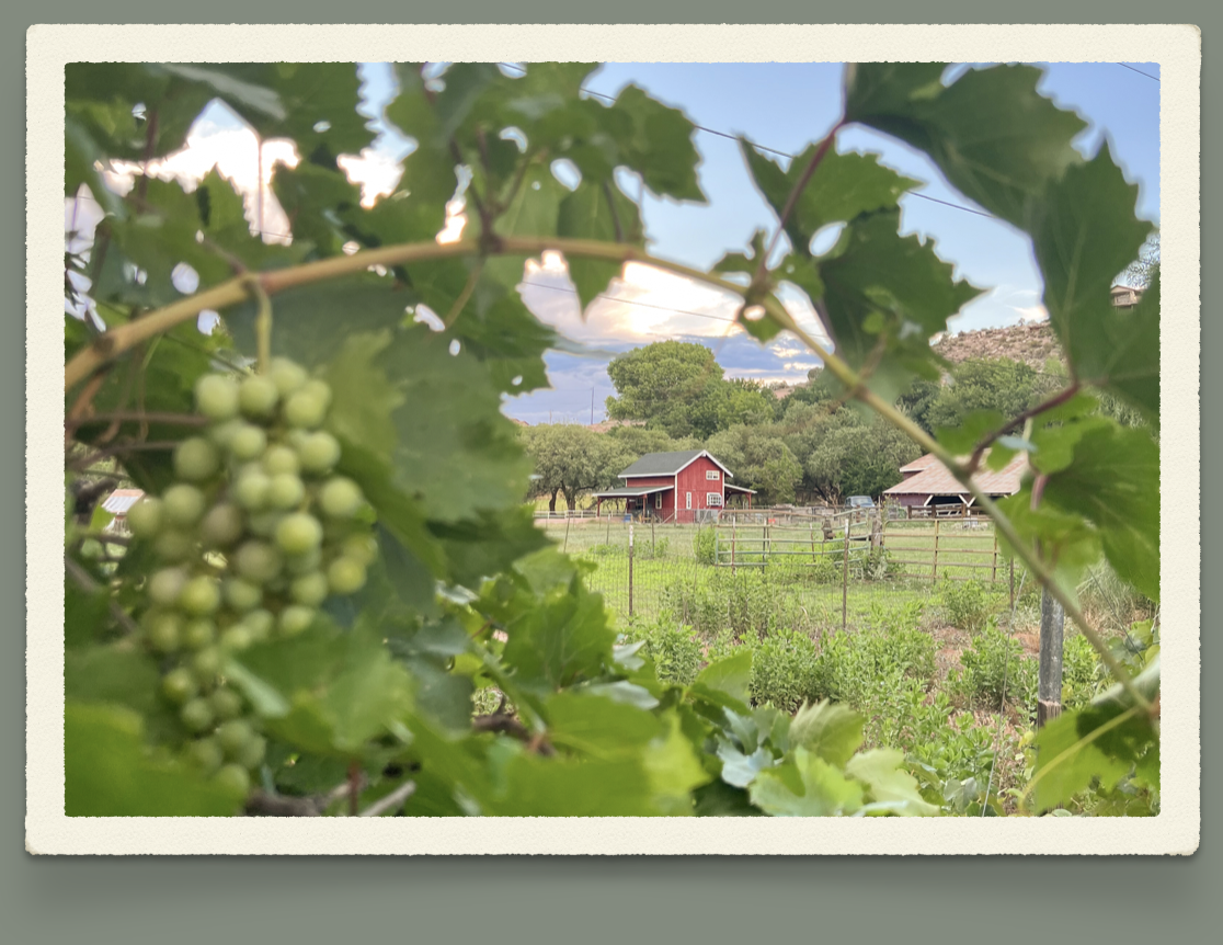 Screenshot 2024-08-01 at 12.55.24 PM.png