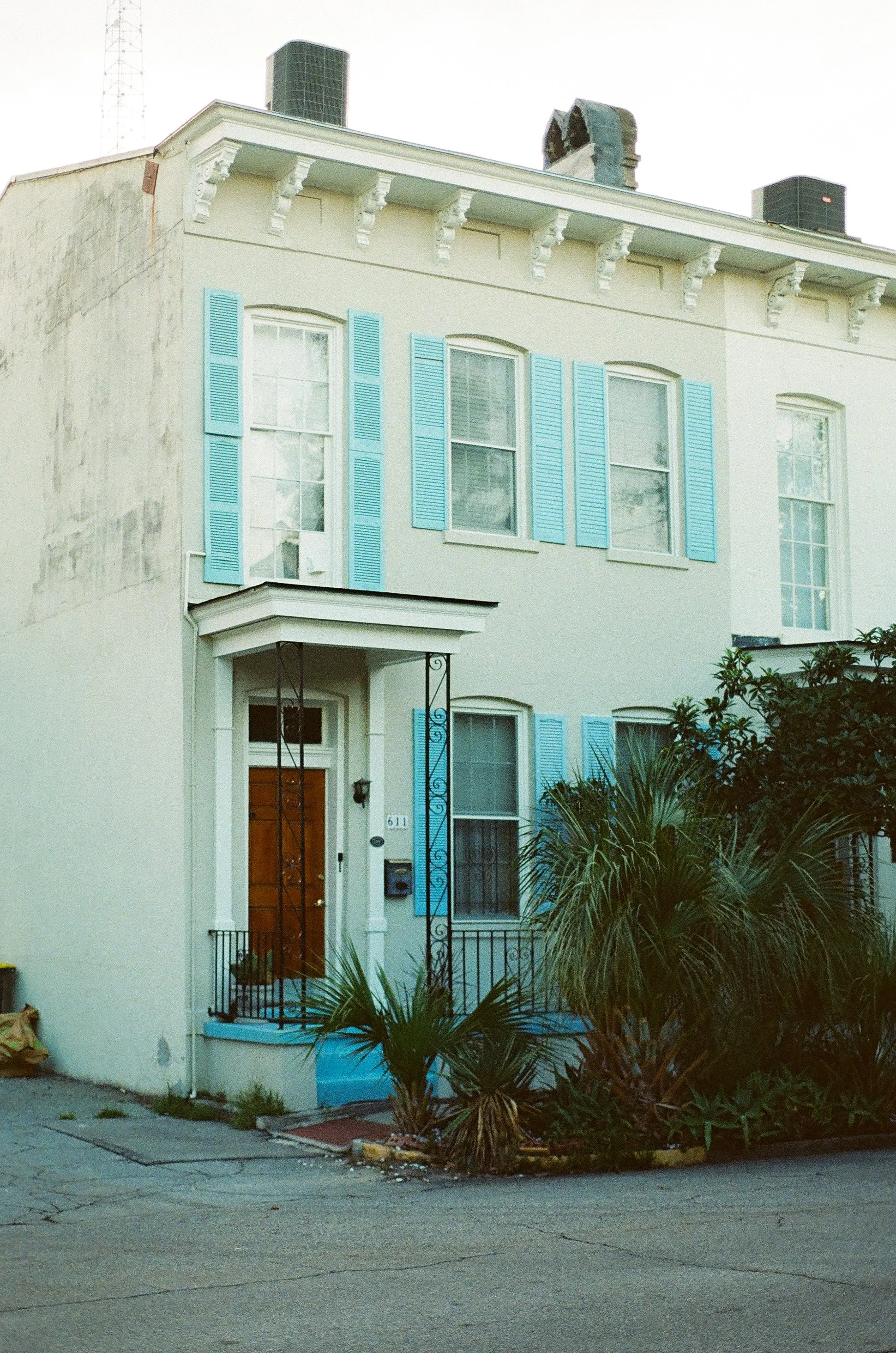 Savannah Blue