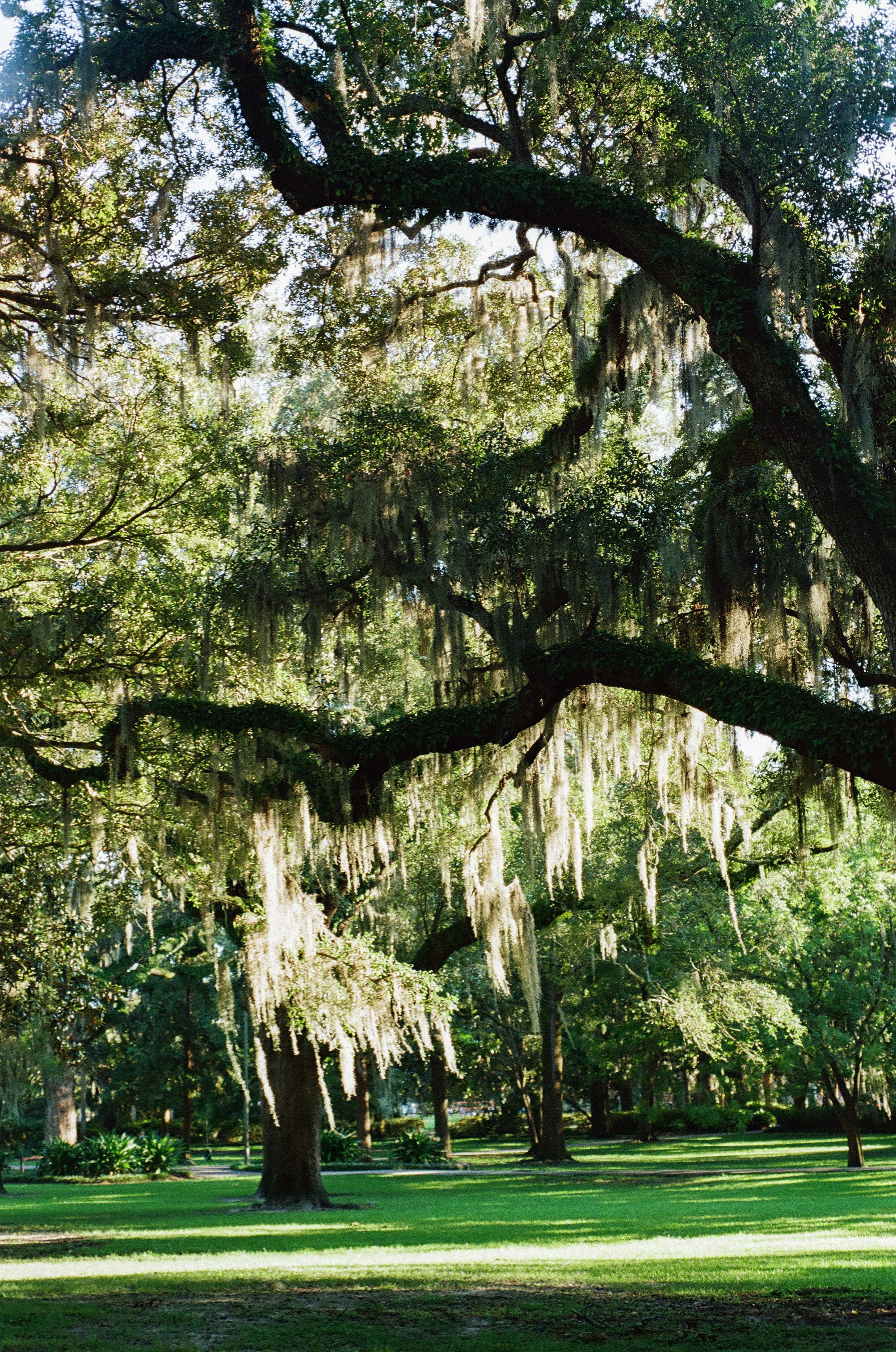 Forsyth Green