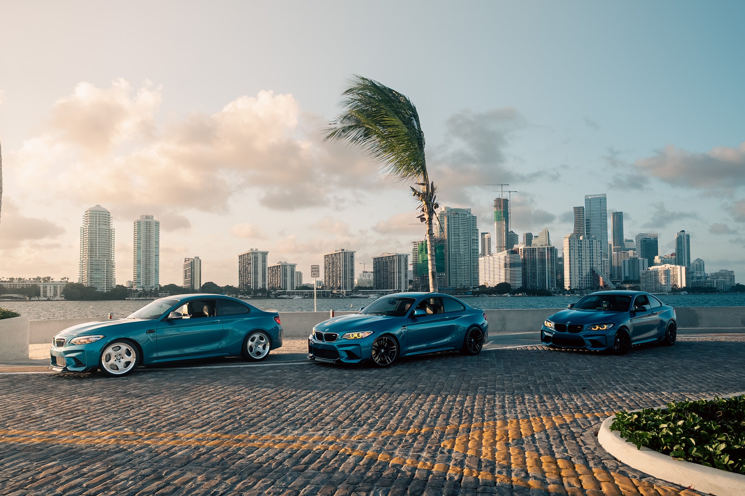 The Trio