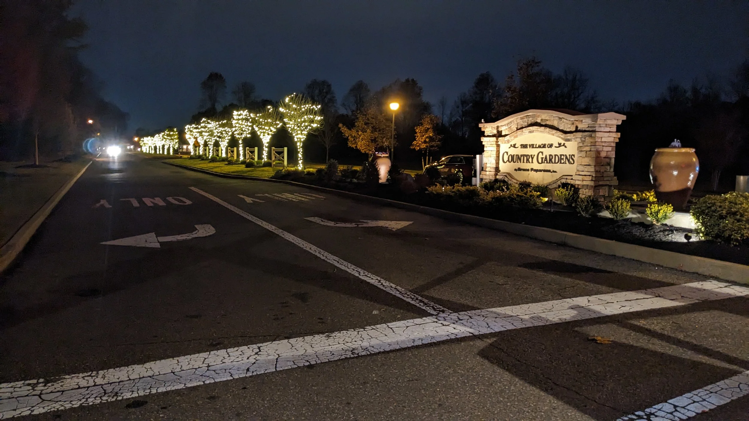 CG Blvd w Tree Lights.jpg