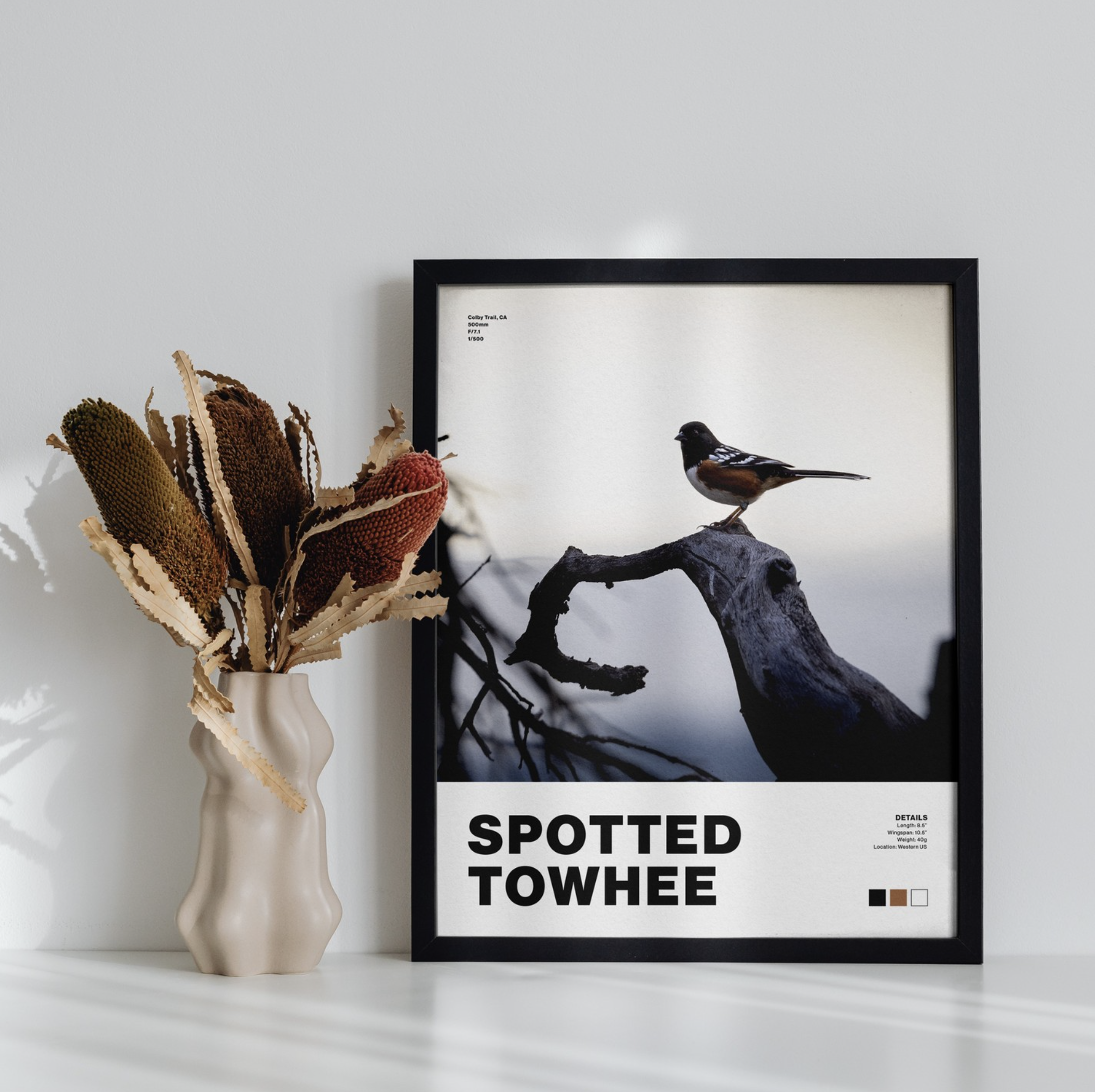 spotted-towhee-poster.png