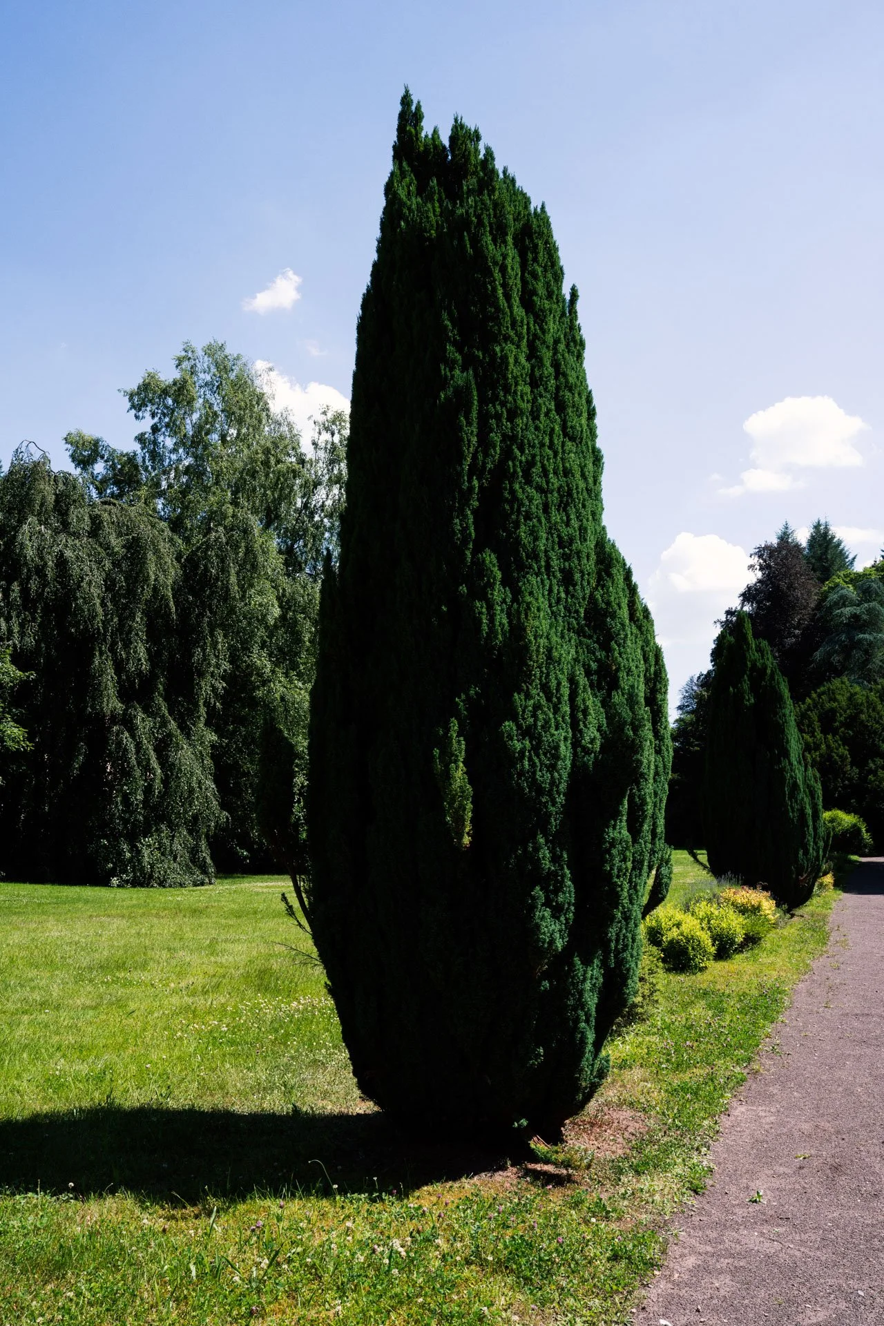 YL_GreyWiese_alsace_selectedwork_038_2.jpg