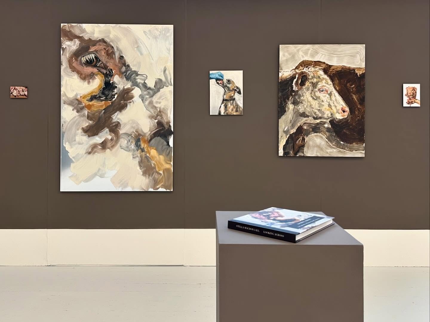 My installation in Edinburgh College of Art degree show, open till Sunday 9th June