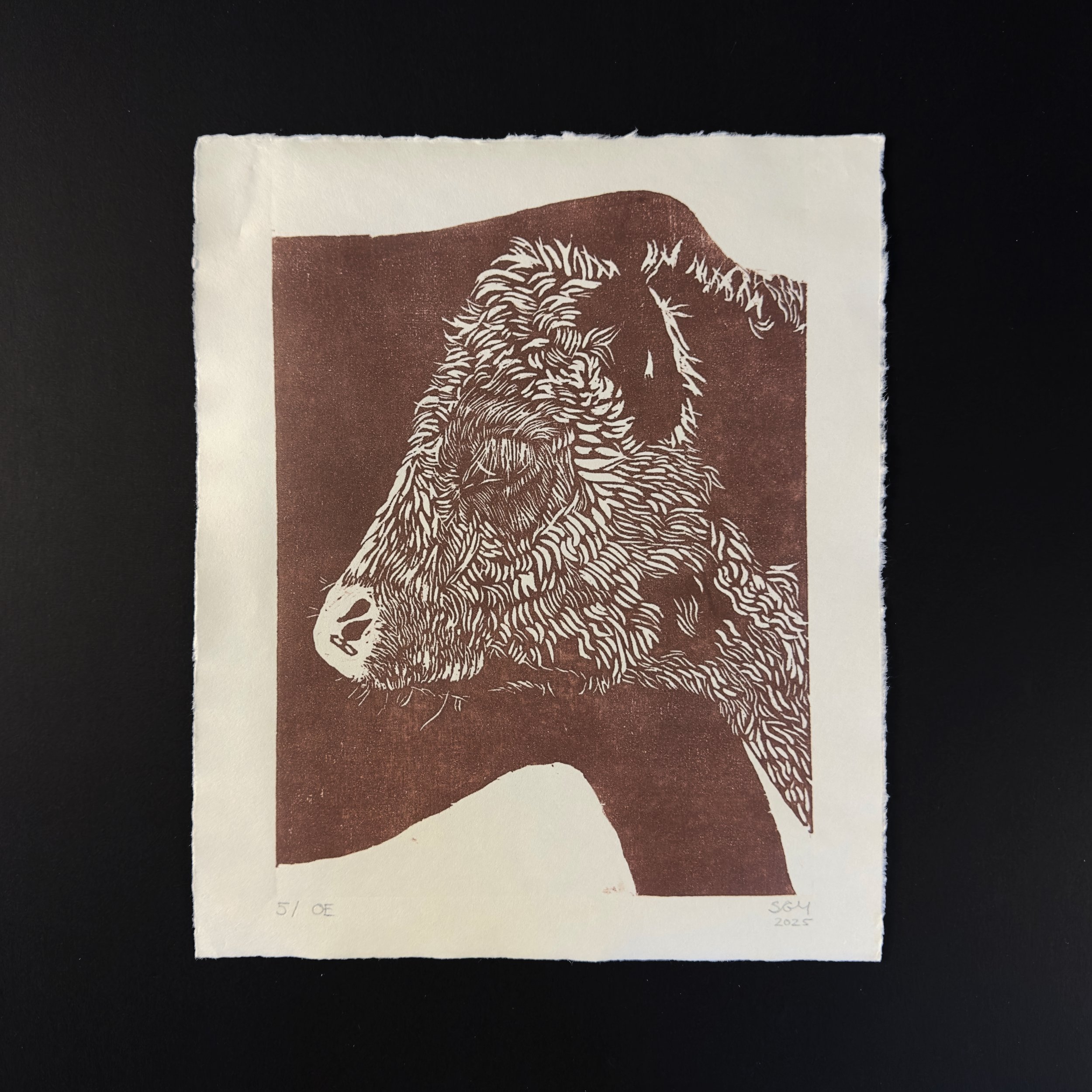 cattle crush unframed.jpg