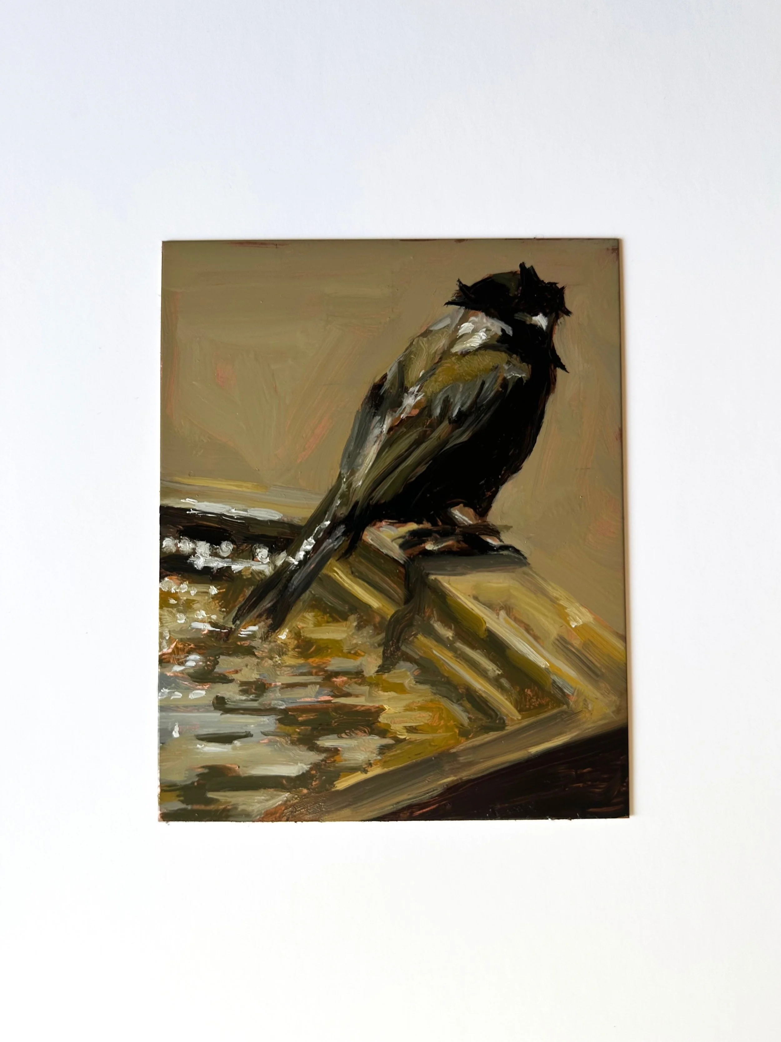 Untitled 
Oils on copper 
10x12.5cm 
2026