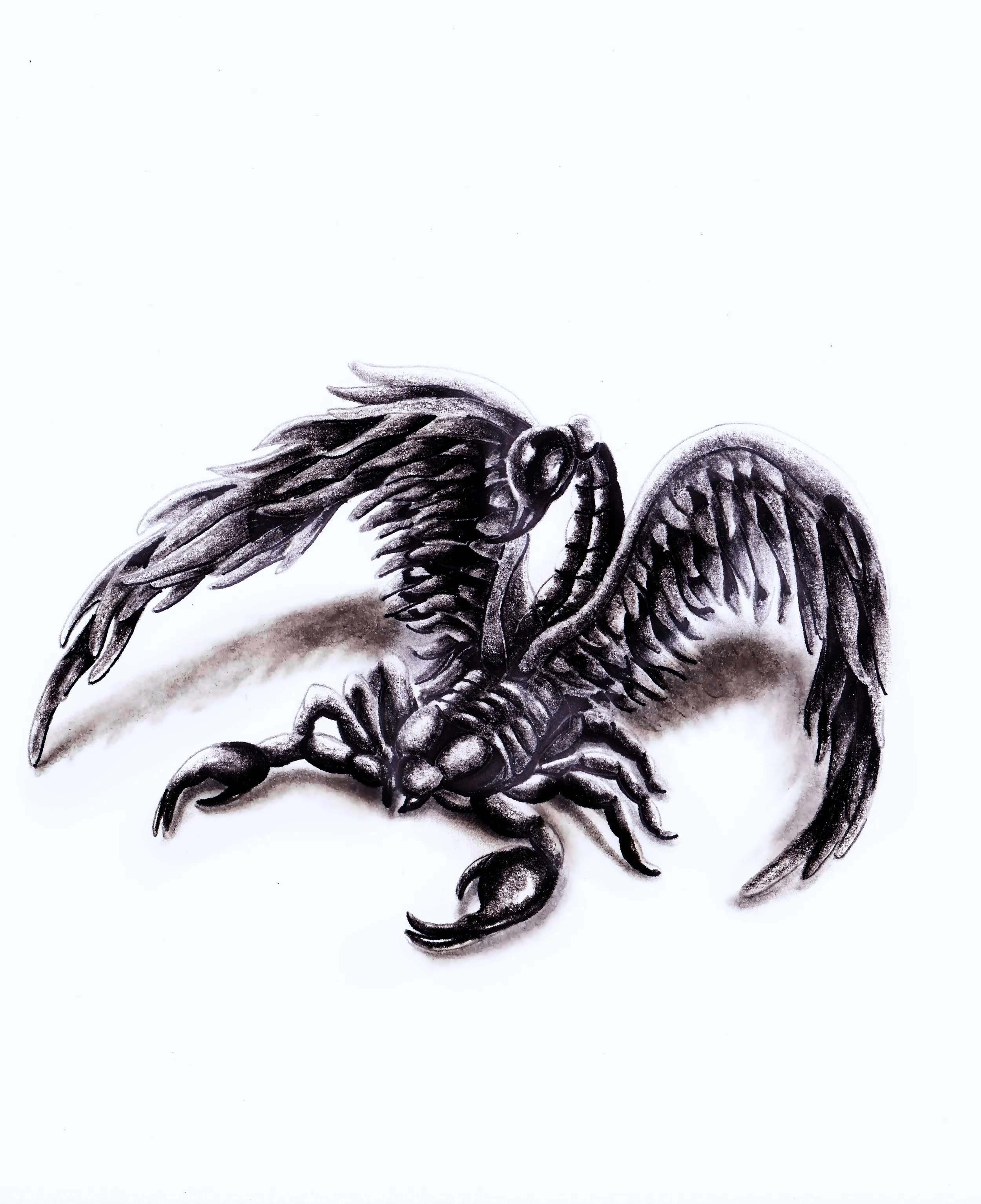ORIGINAL1 Scorpion Book Cover Design (002)_edited.jpg