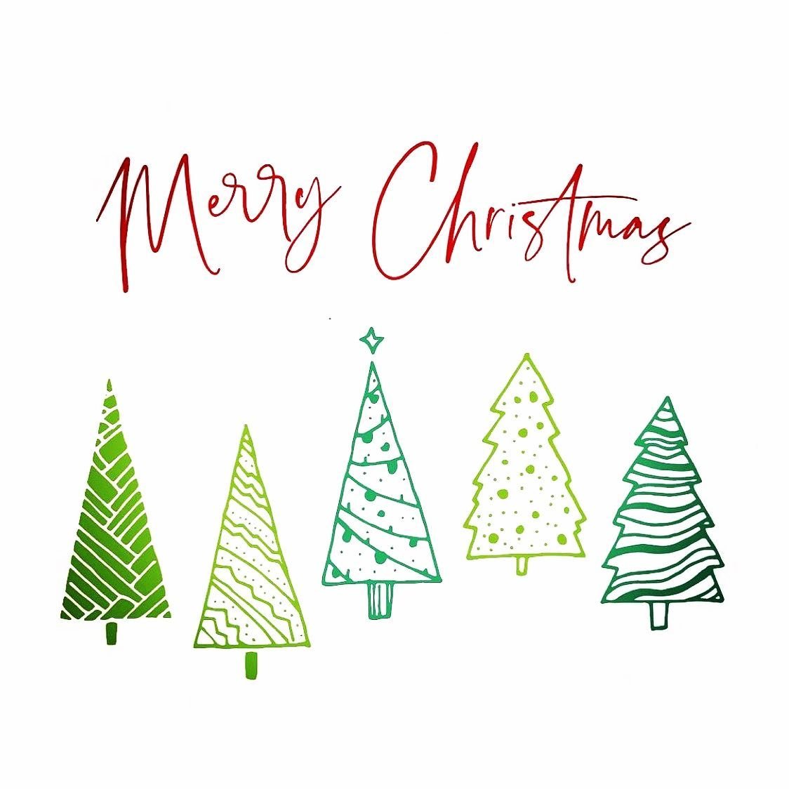Merry Christmas, friends🎄🎅🏼🎁 

#christmastree #ochristmastree #merrychristmasyafilthyanimal #holidaze #feliznavidad