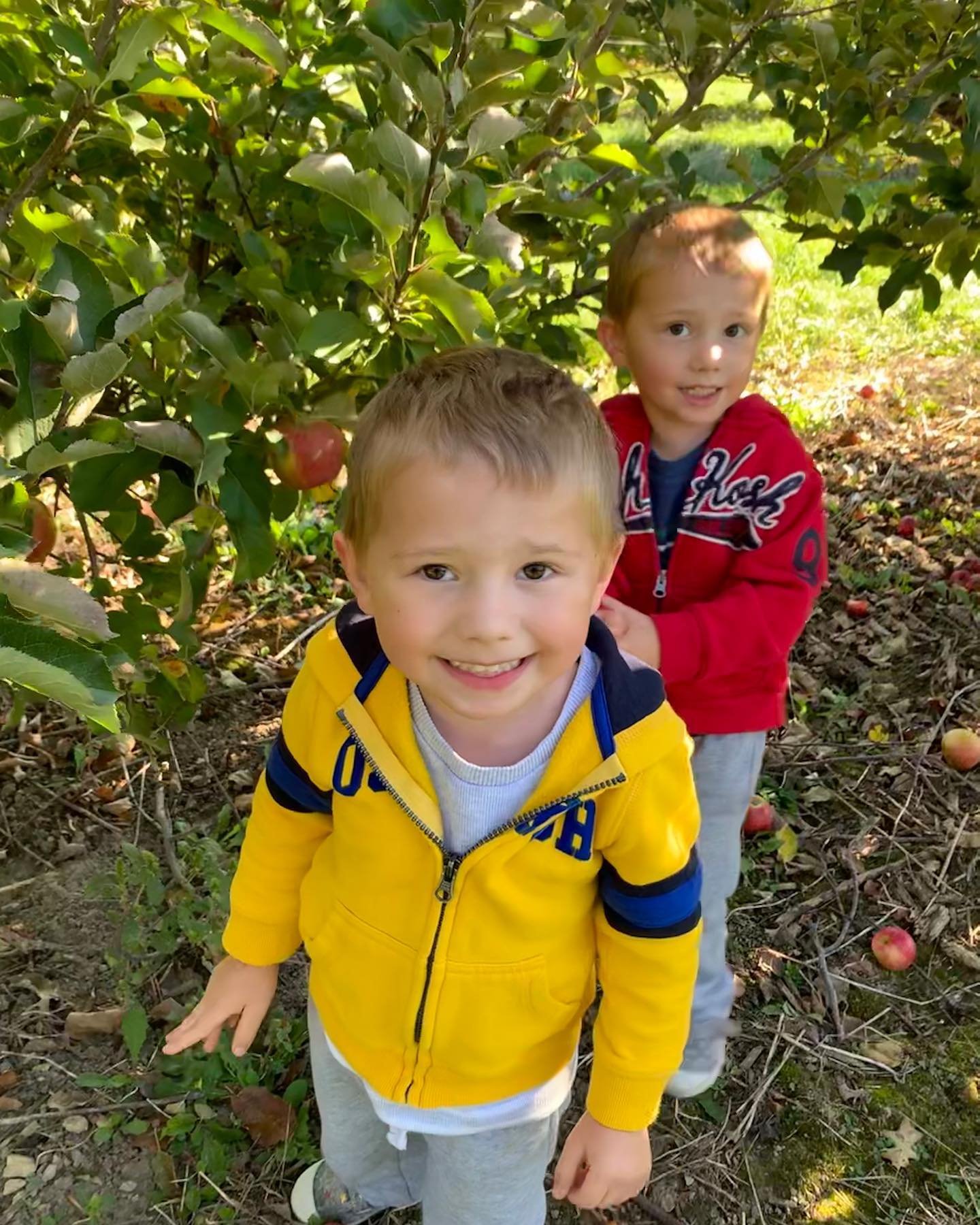 Apple &amp; Pumpkin picking with the twins. It was such a beautiful fall day 🍎🎃❤️💛
&bull;
#twins #boys #pumpkin #apple #october #halloween