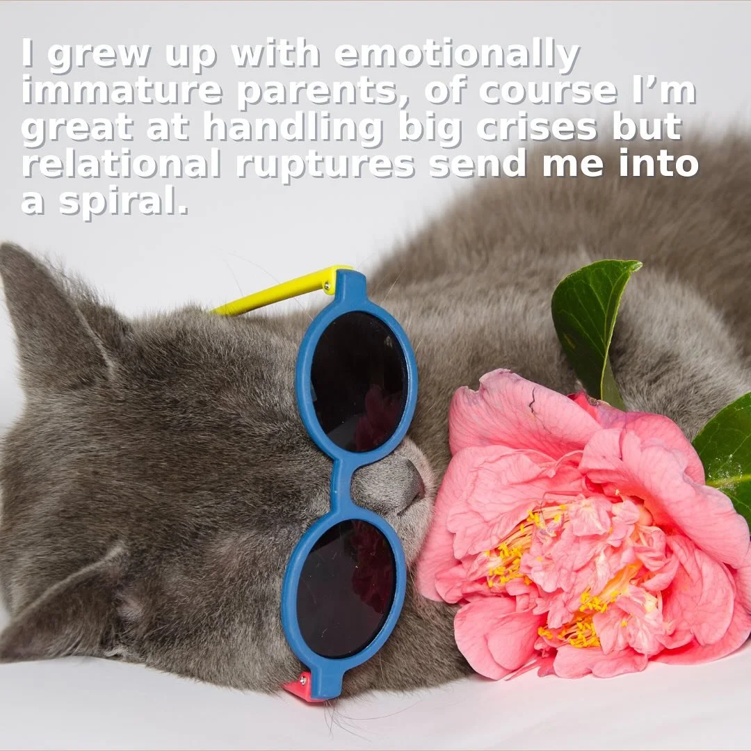 The world is a 🤡 but here are some relatable🐱for your viewing pleasure🌀