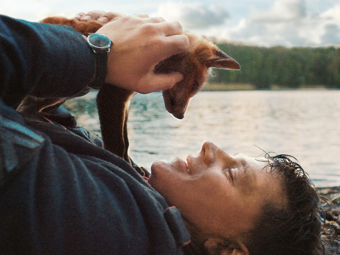 The Fox Film Review