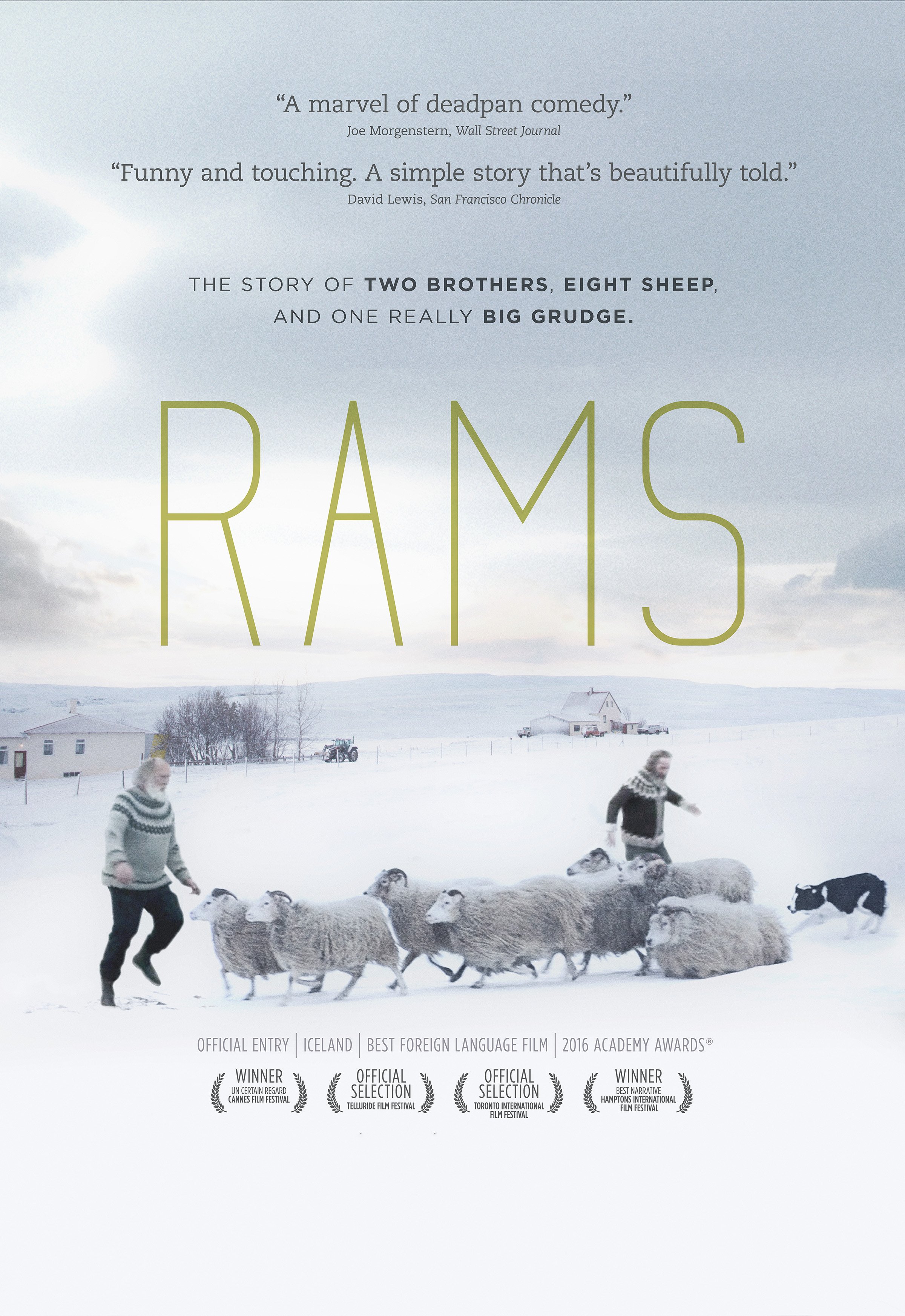 Rams Film Review