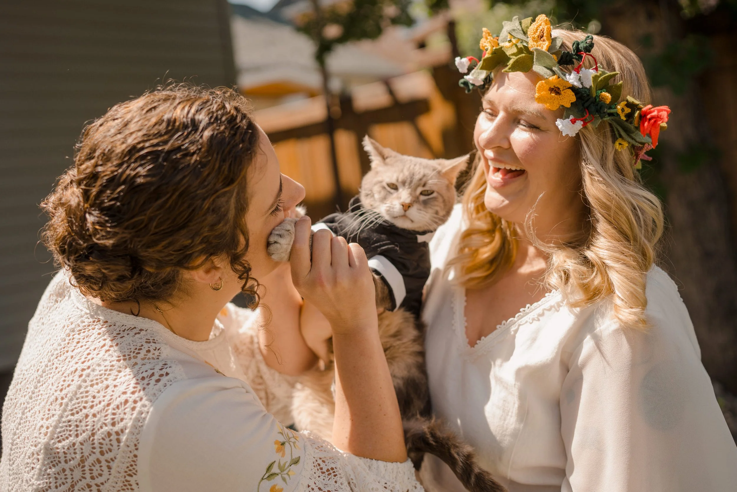 cat-in-suit-at-lesbian-wedding-first-look-edmionton.jpg