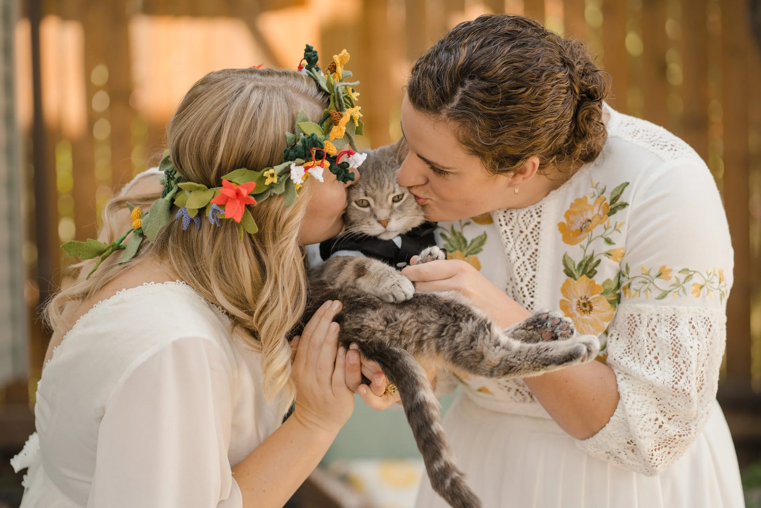 cute-cat-first-look-lesbian-brides.jpg