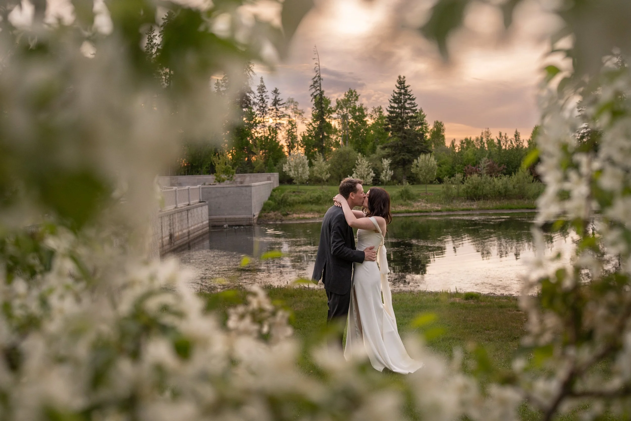 golden-hour-botanic-gardens-edmonton.jpg
