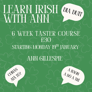 learn irish with ann (300 x 300 px).png