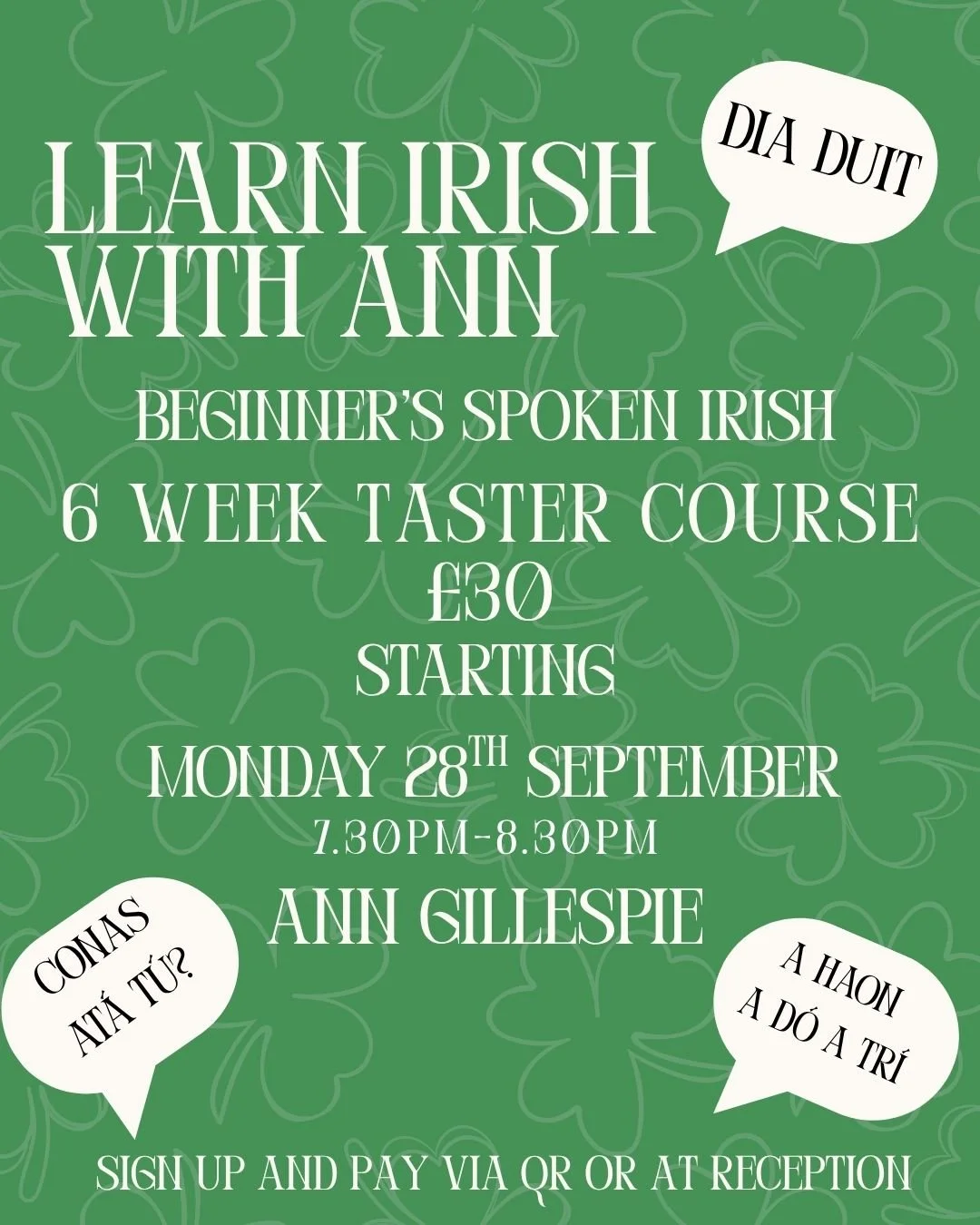 learn irish with ann.jpg