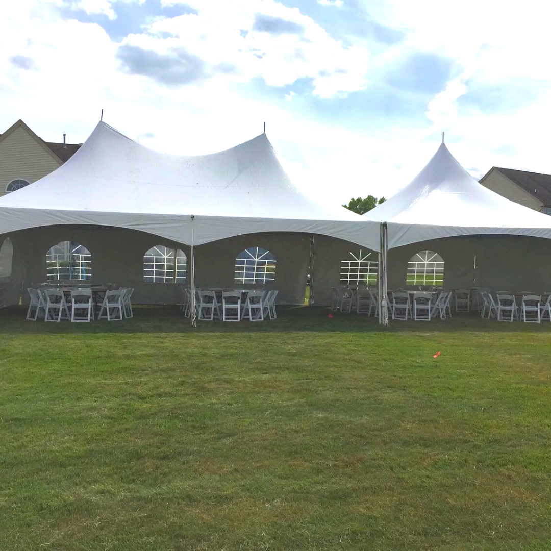 20x60.png