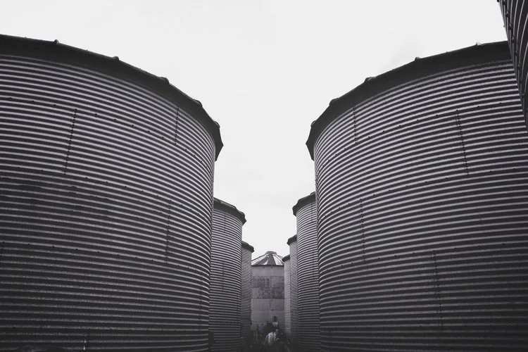 image-asset (2).jpeg