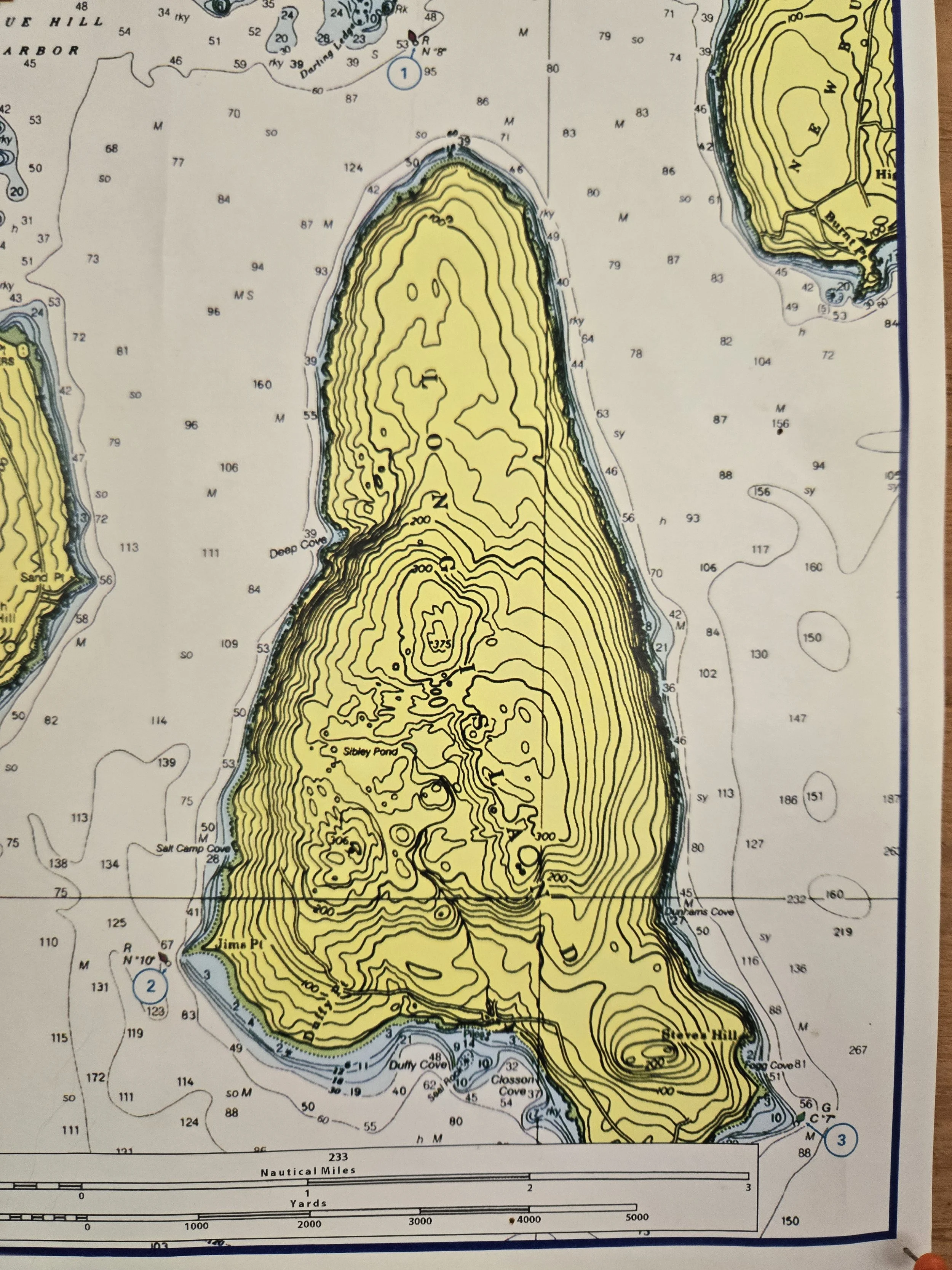 Coming Up: Long Island Picnic on 7/18