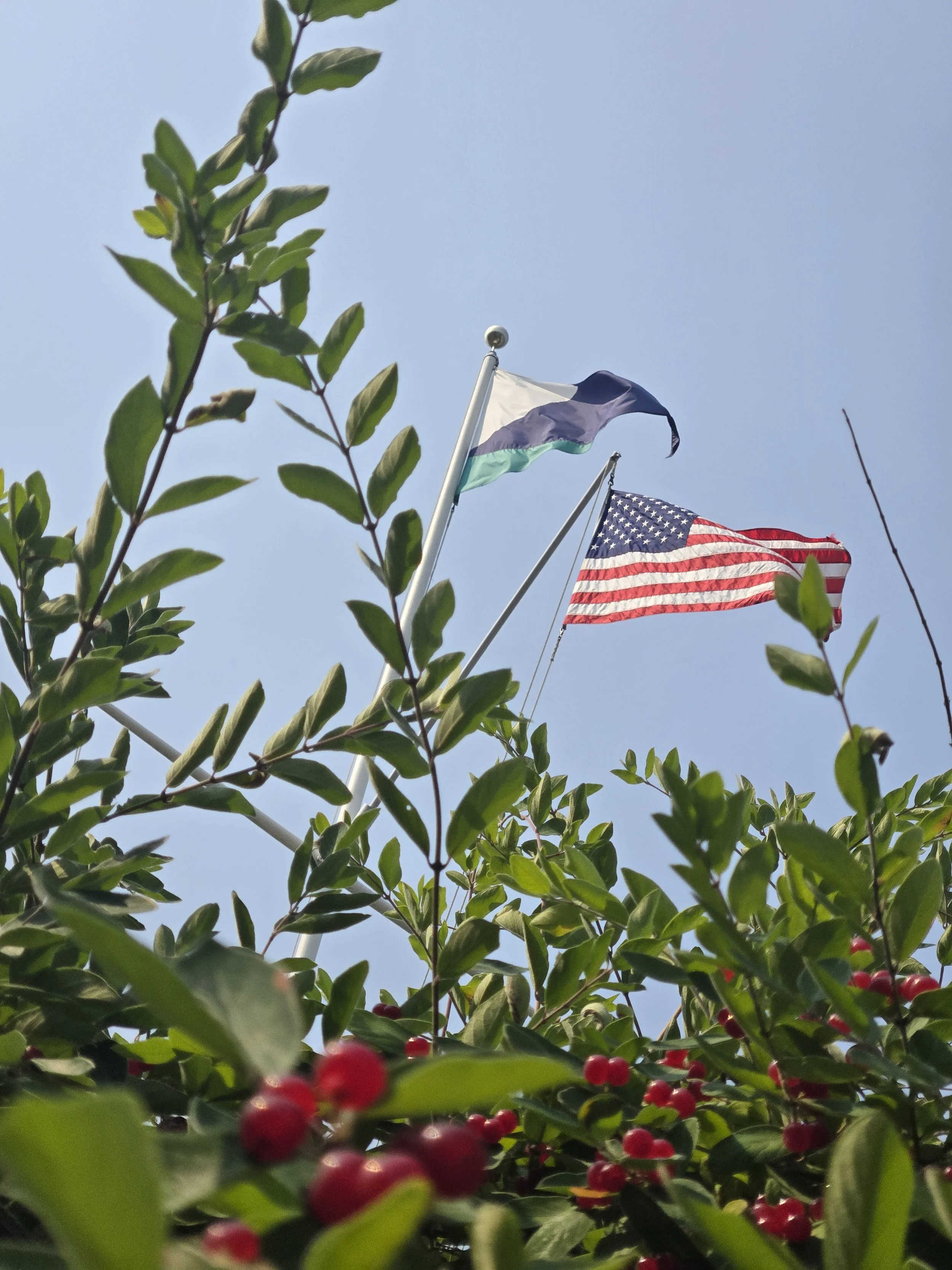 12s &amp; Lasers Results from 8/3