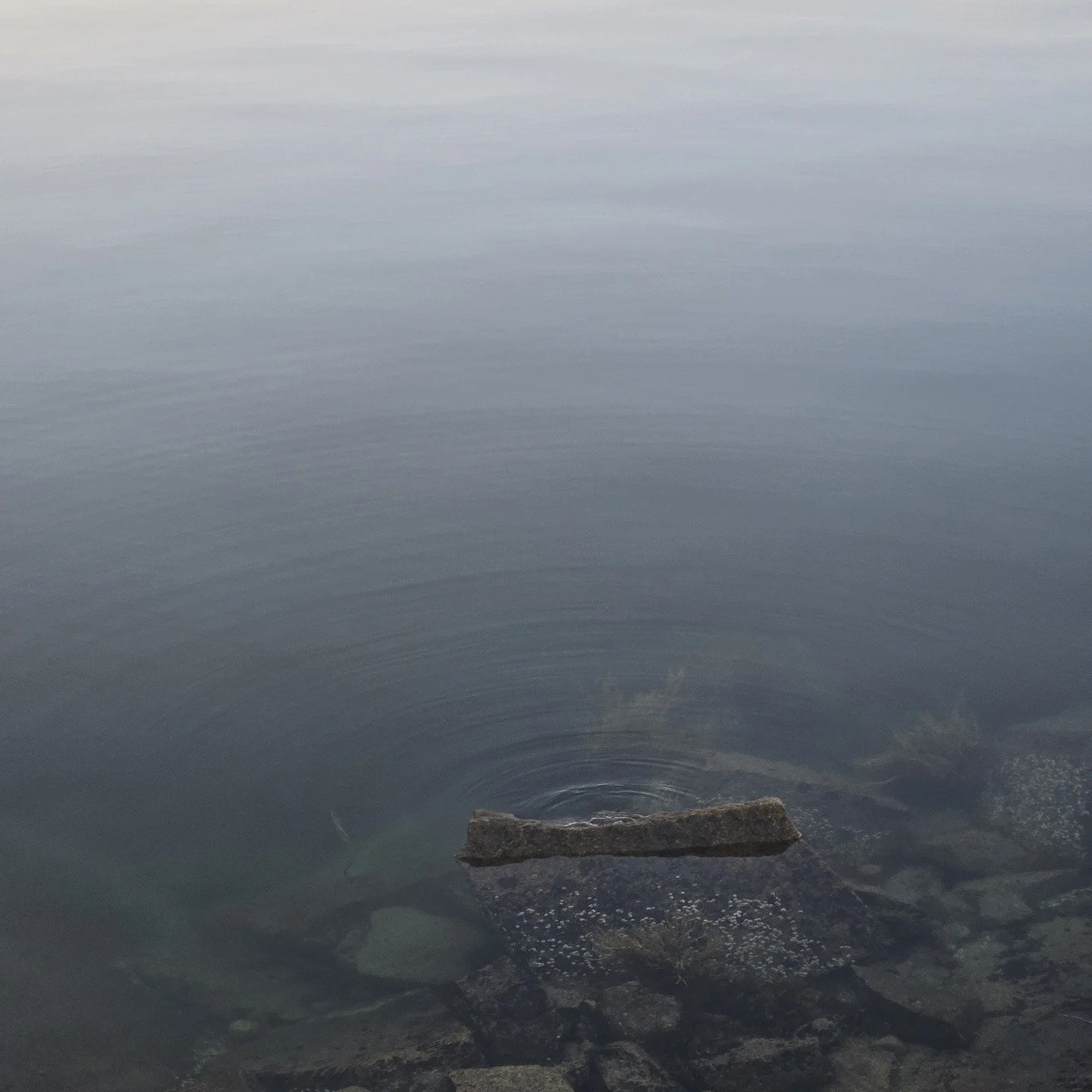 Quiet moments on the water