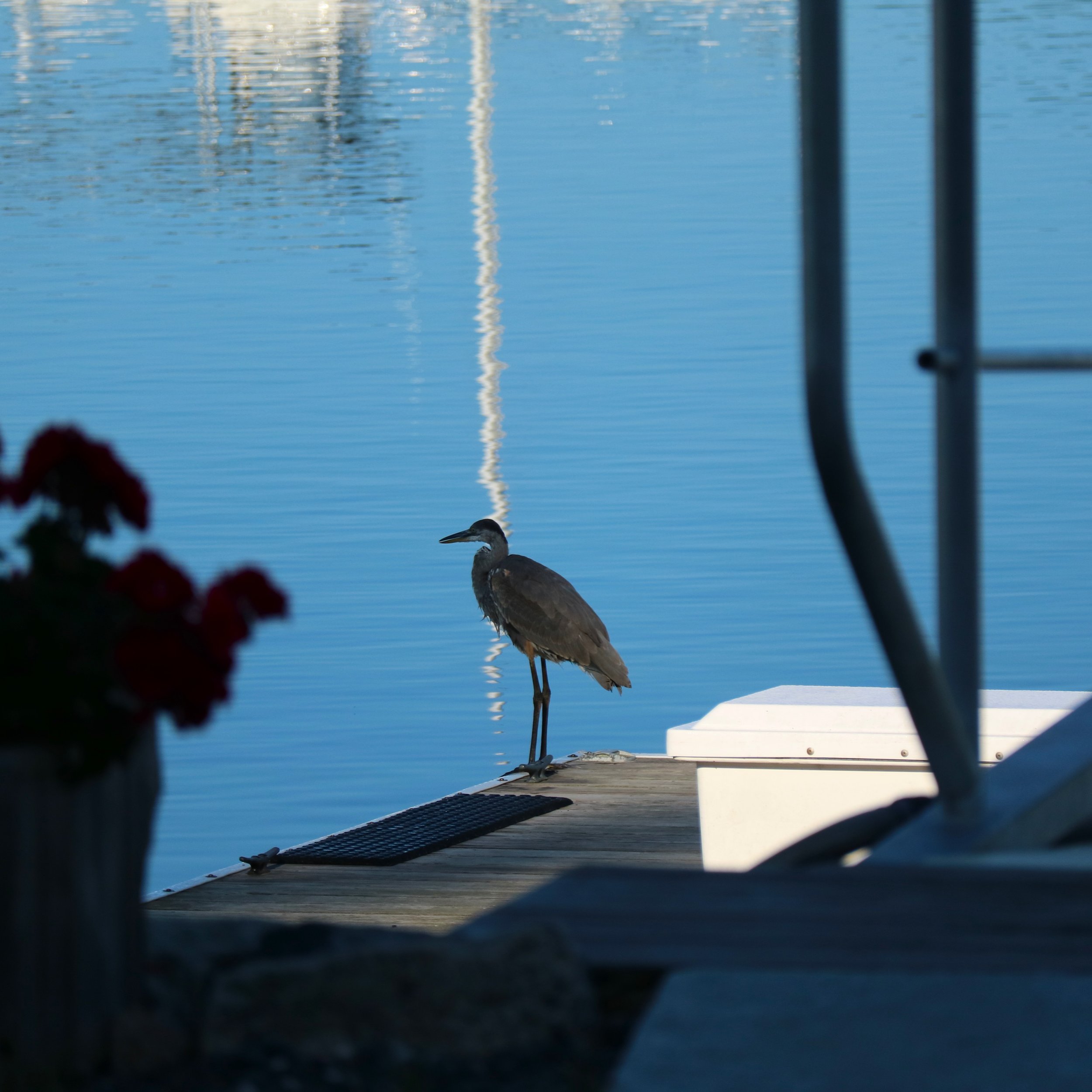 boating is on your horizon!