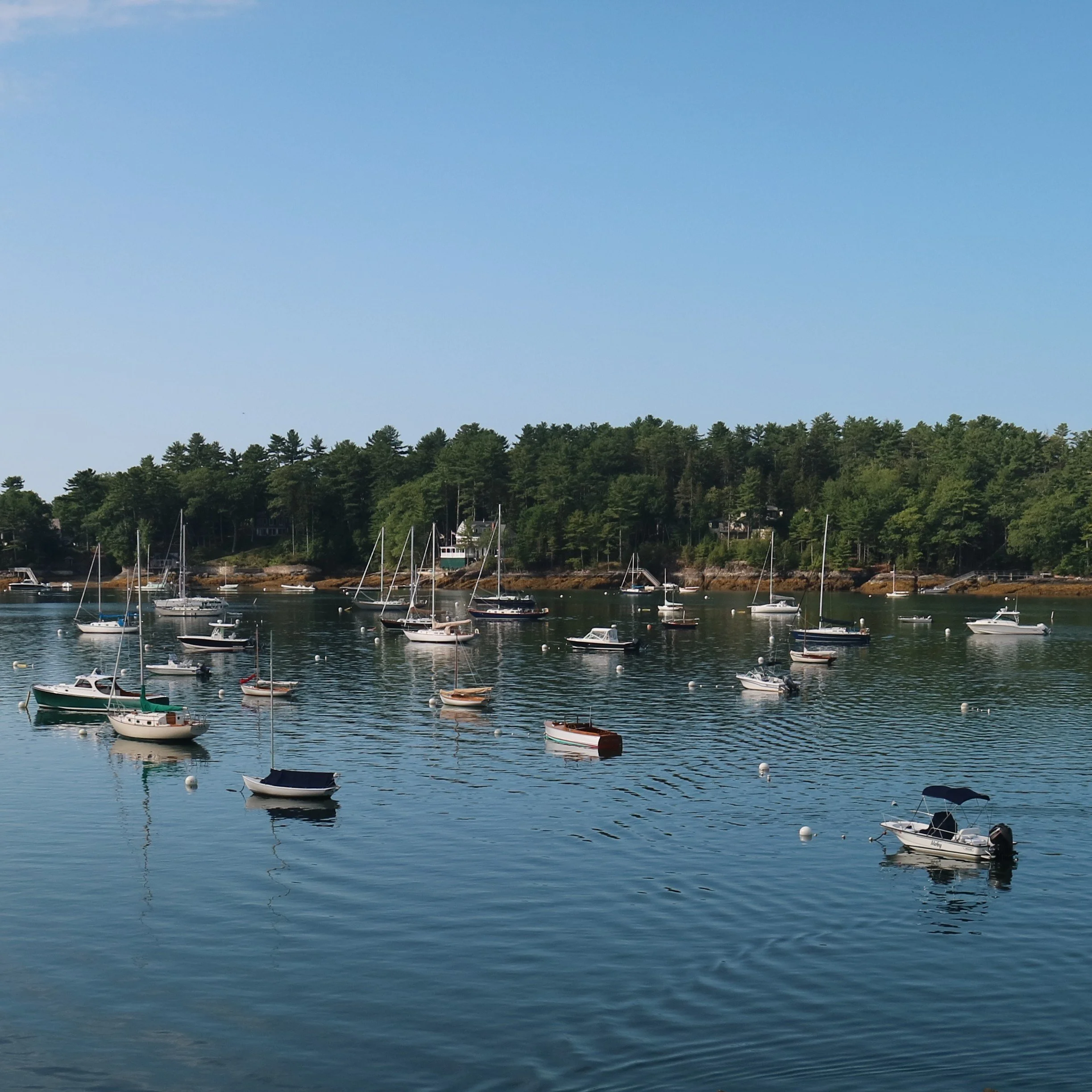 August in the Harbor