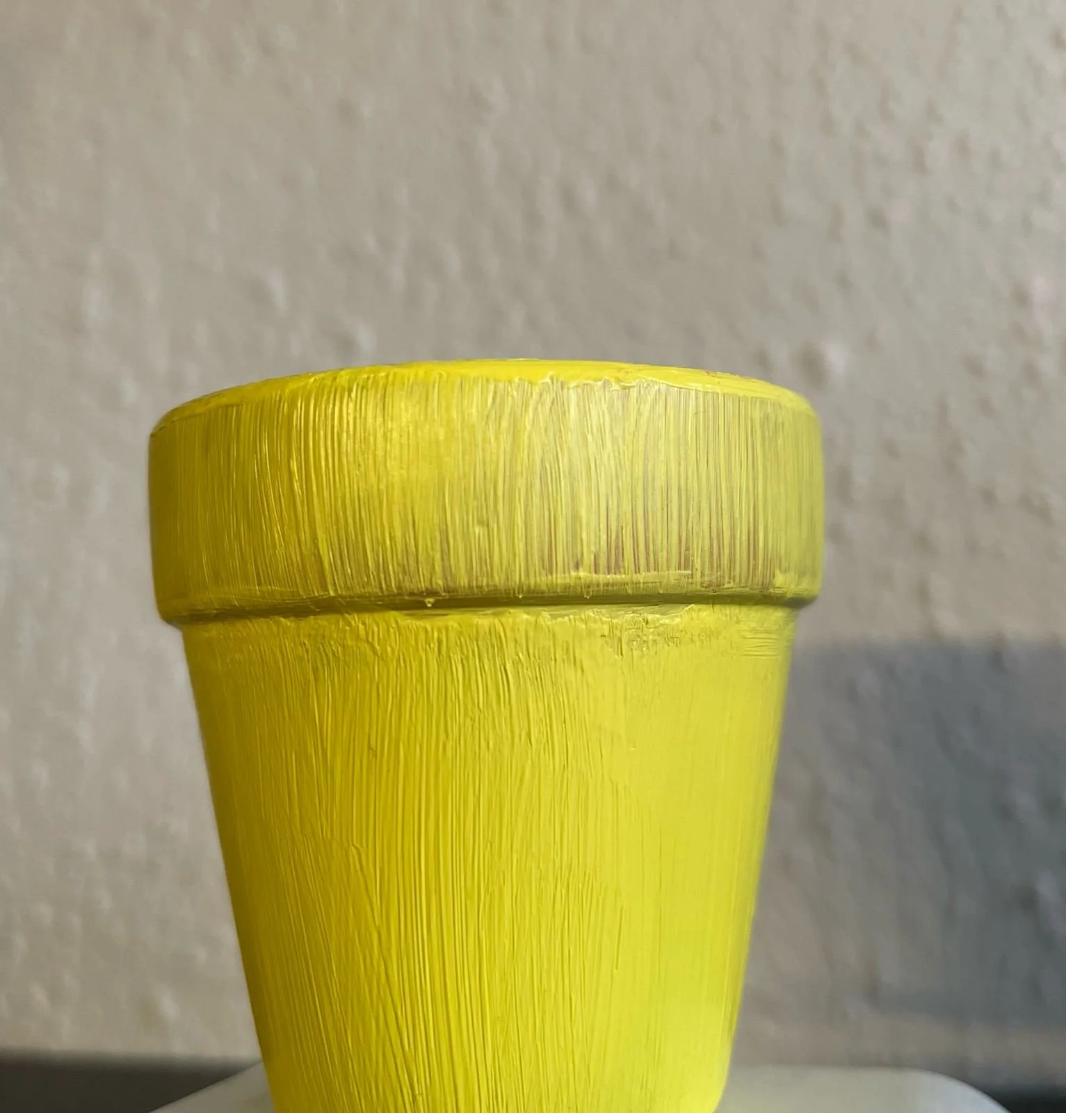 PHOTO-2025-03-03-12-07-48 2.jpg