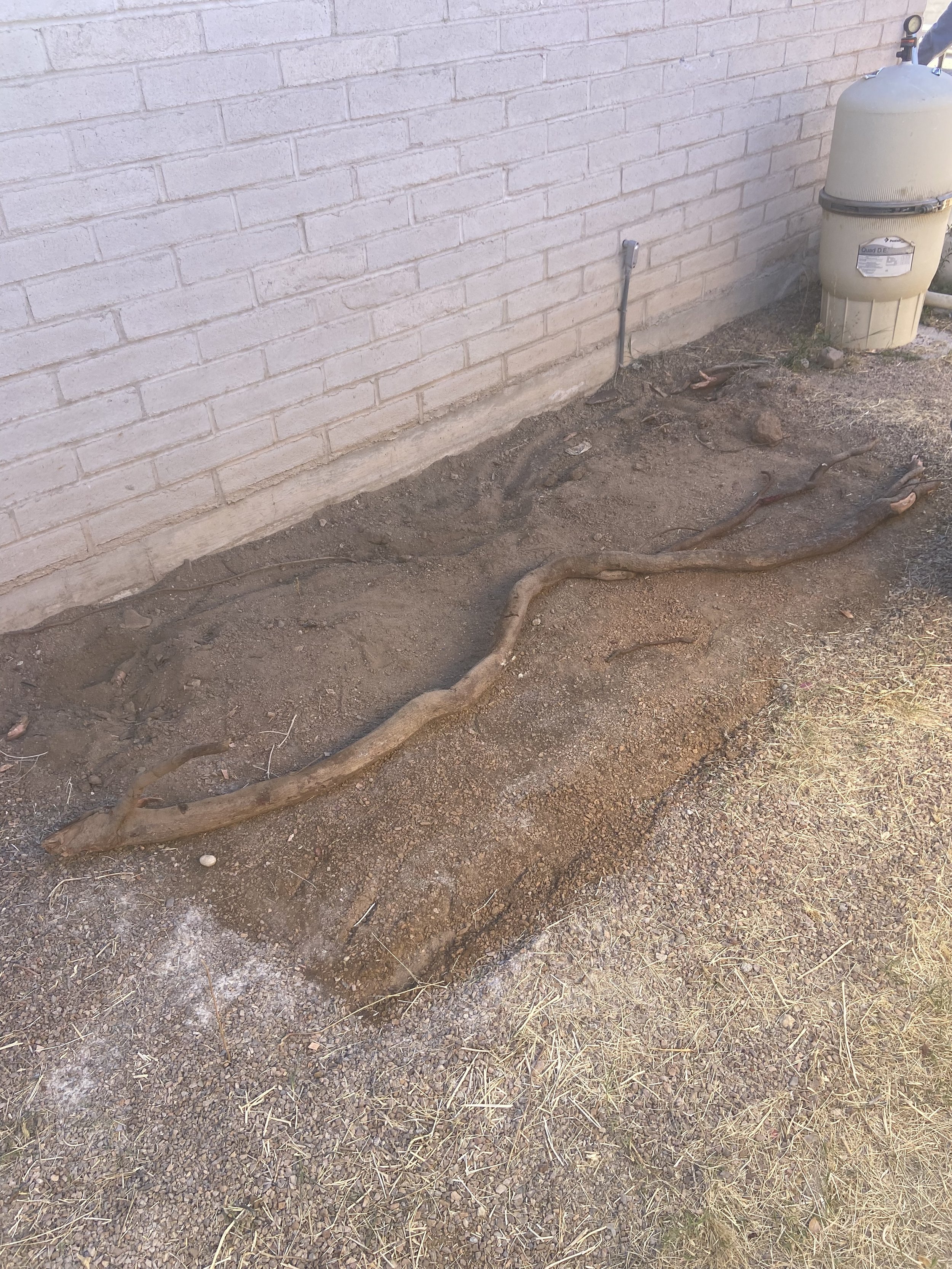 Landscaping root removal.jpg