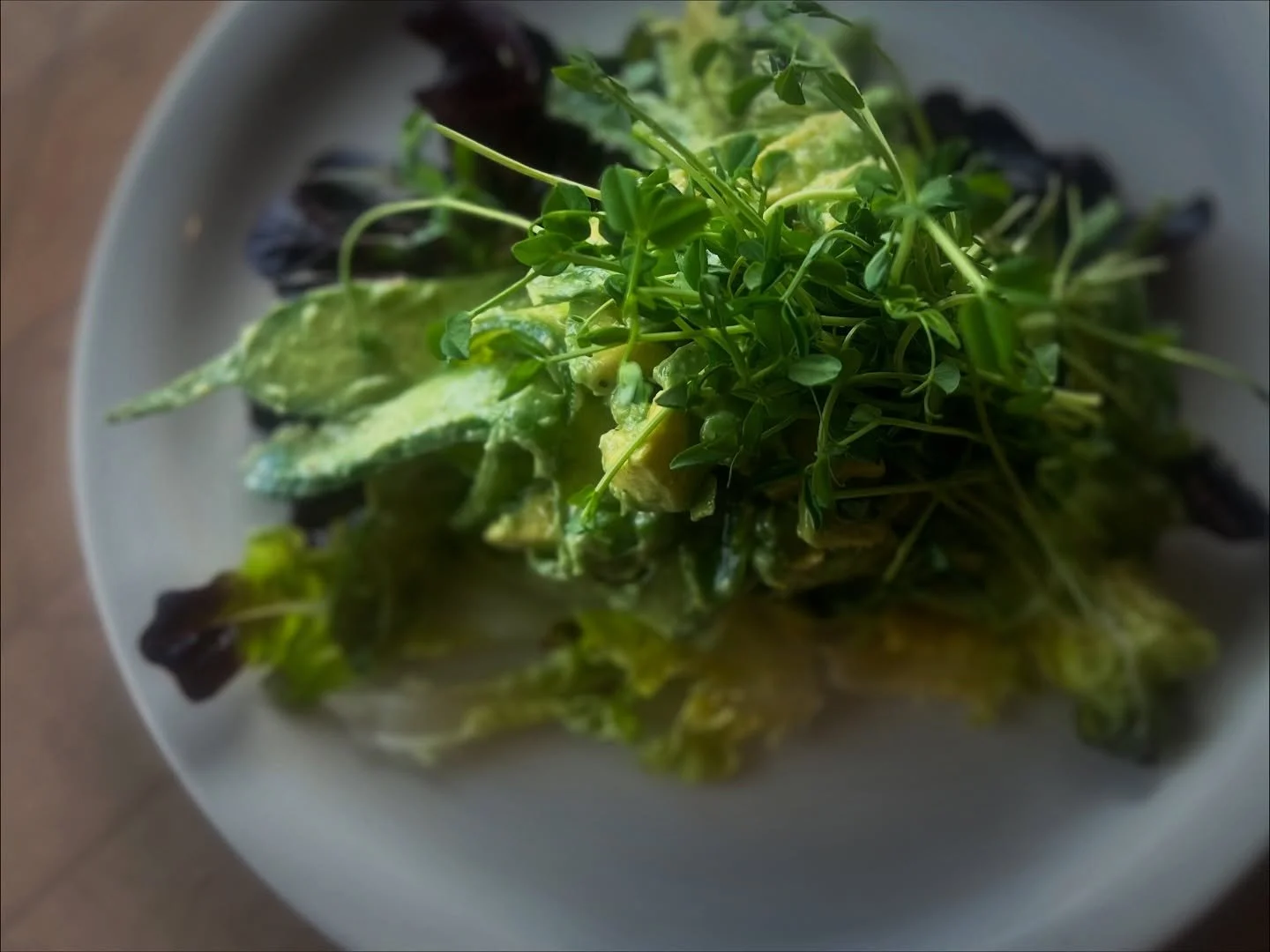 OH, MY GODDESS! 
🙌Our absolute favorite seasonal spring salad🙌
Local hass avocado, sugar snap peas, Persian cucumber, red oak salanova, sprouted red quinoa, green goddess dressing. Available in different variations all spring long, (or until our av