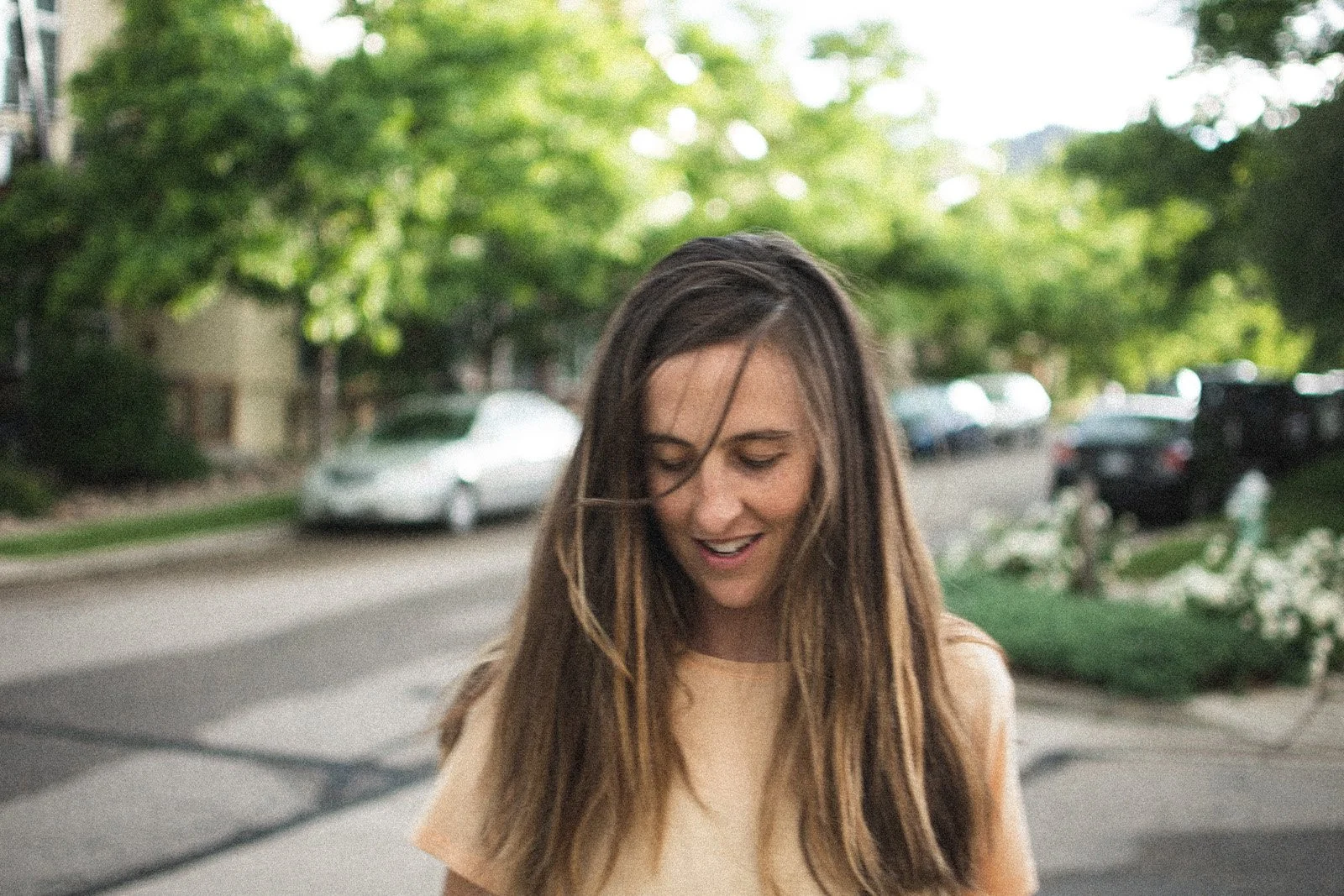 Holiday Neighborhood walks (Chloe, July 2020)