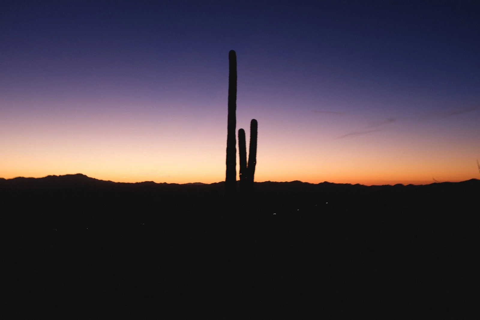 After Sunset in Saguaro N. Forest (January 2021).