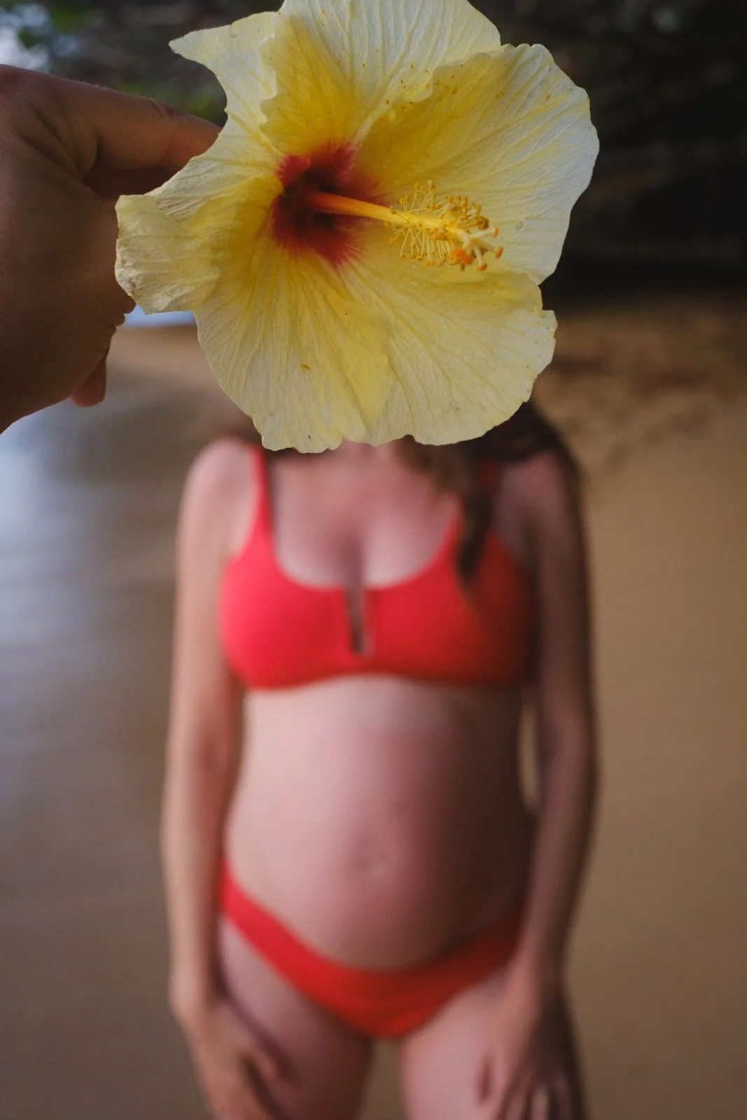 Hanalei sunset (Chloe, Lil Raz, January 2026)