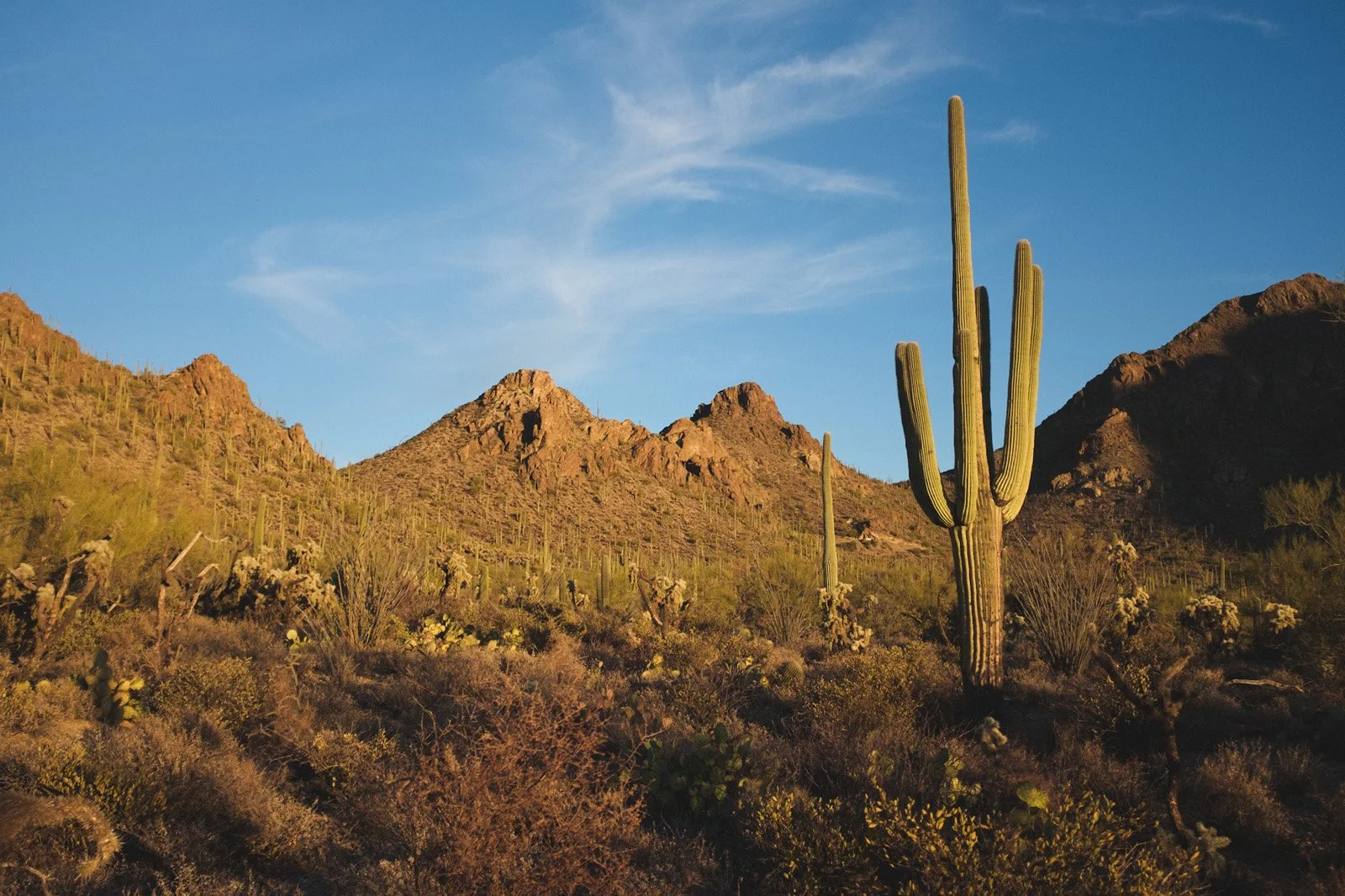 Gates Pass hike (January 2021)