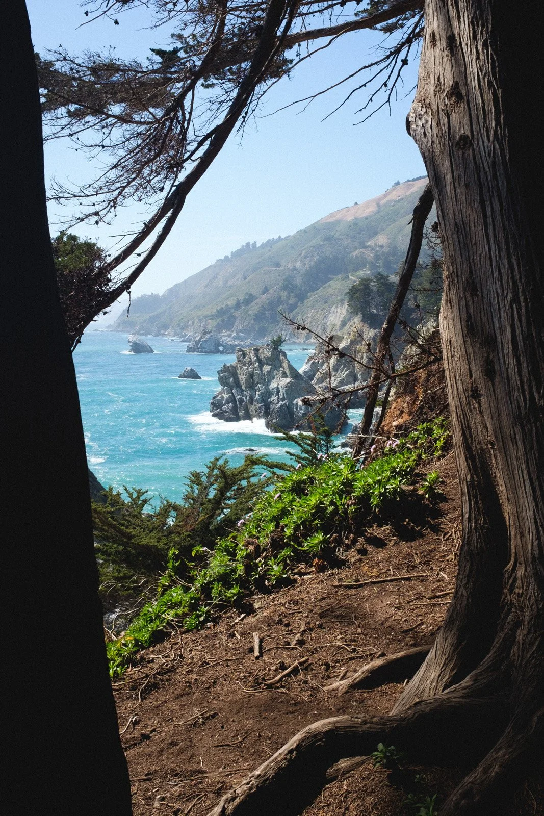 Backside of McWay Falls (two campsites here?) (May 2021)