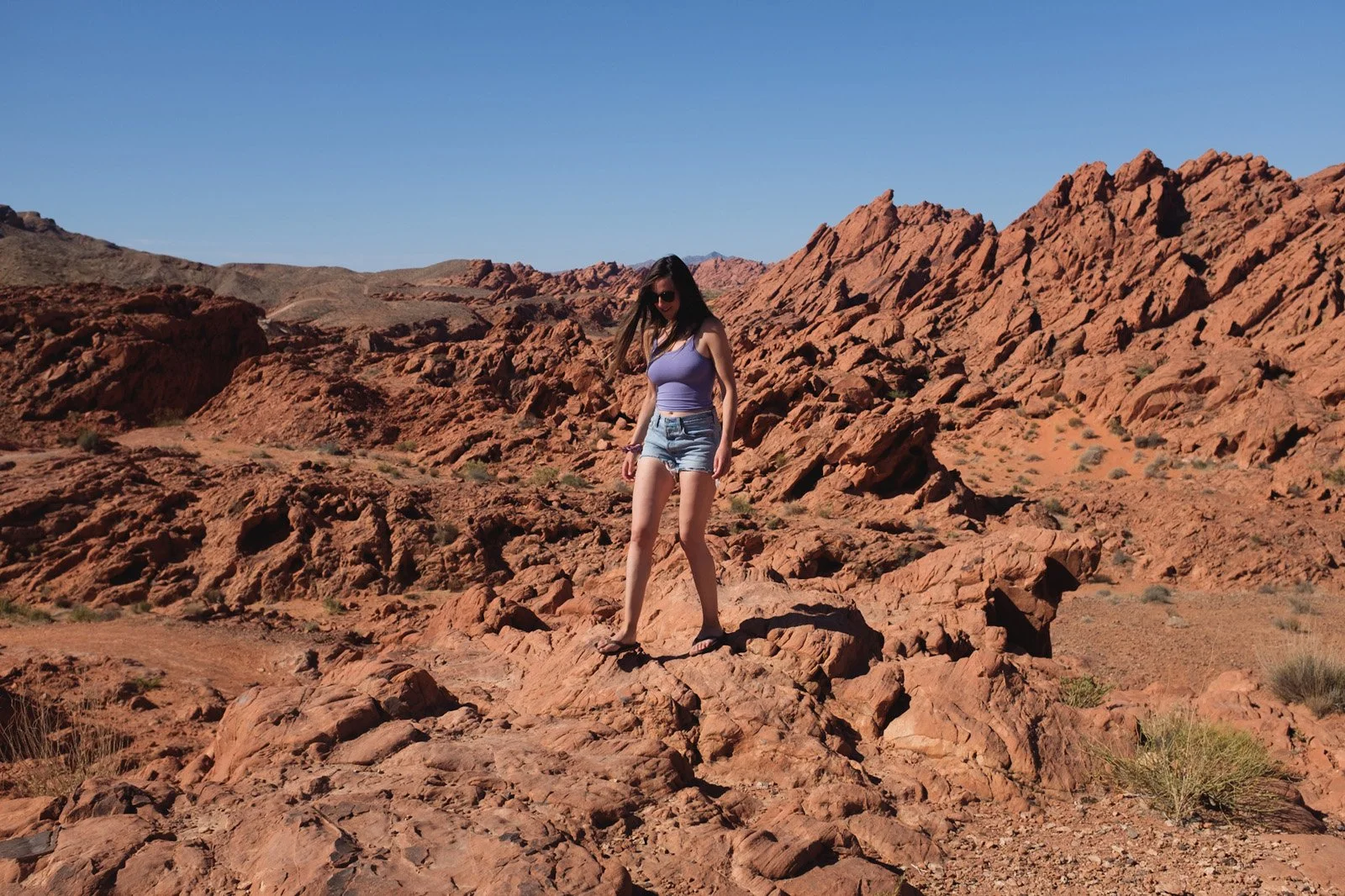 Valley of Fire SP, NV (Chloe, May 2021).