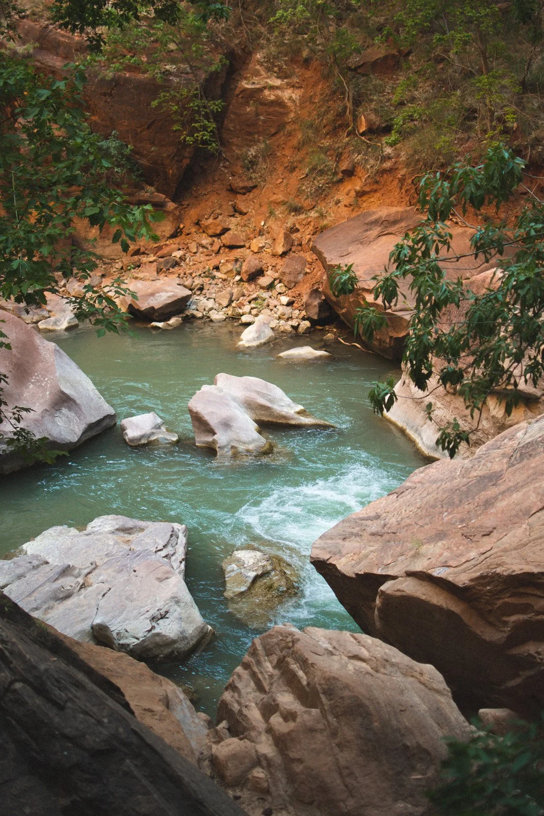 The Narrows, Zion Ntl Park, UT. It was 105º in the shade. (July 2020)
