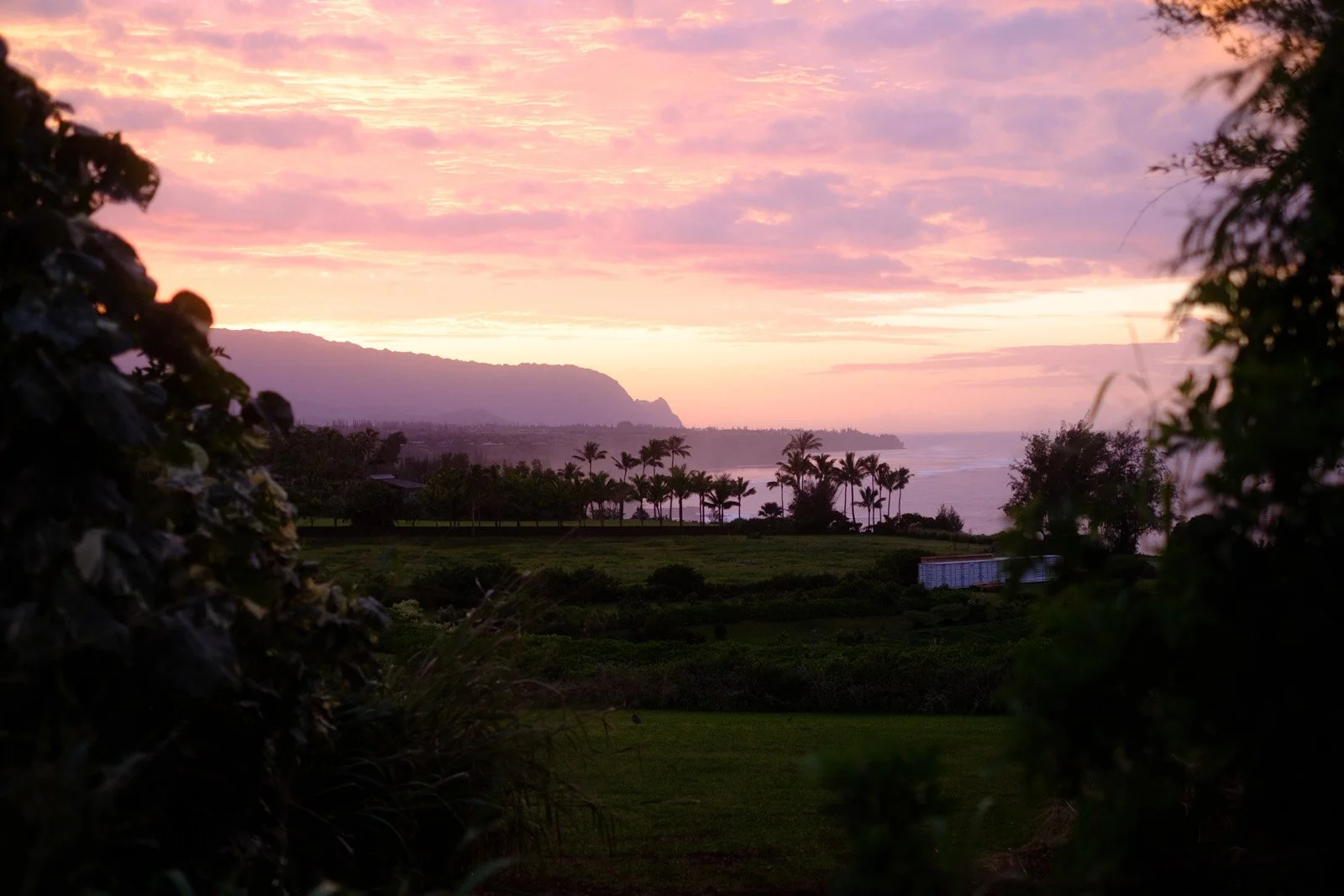 Sunset from Kilauea (January 2026)