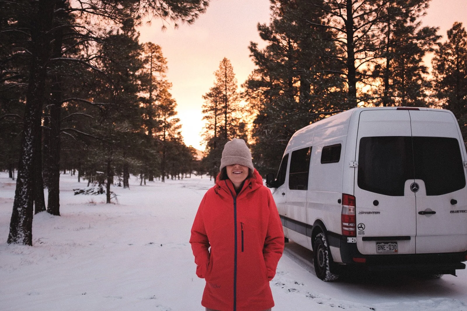 Flagstaff sleepyhead (Chloe, December 2020)