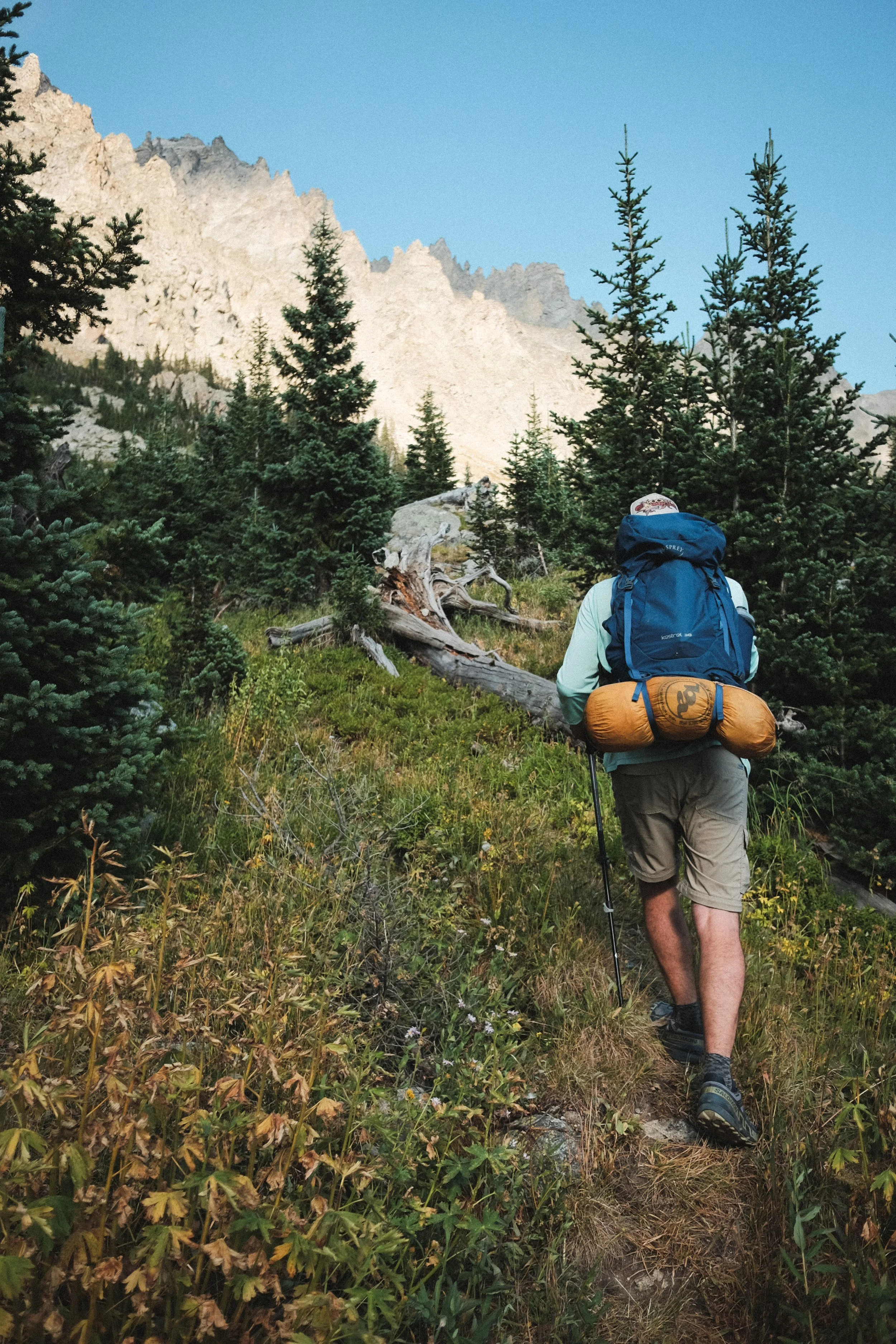 Heading into Wheeler (Curt, August 2025)